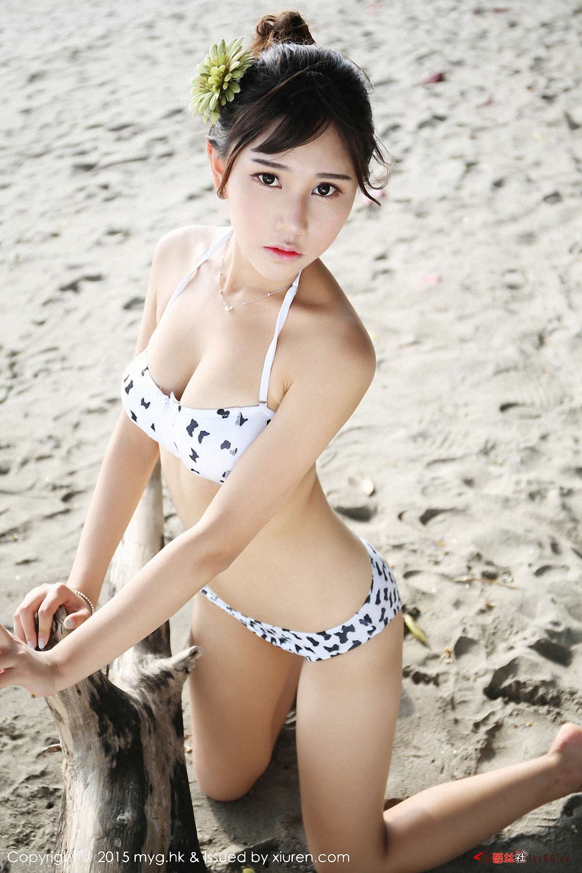 https://www.lss77.com/wp-content/uploads/2019/12/0051-54.jpg