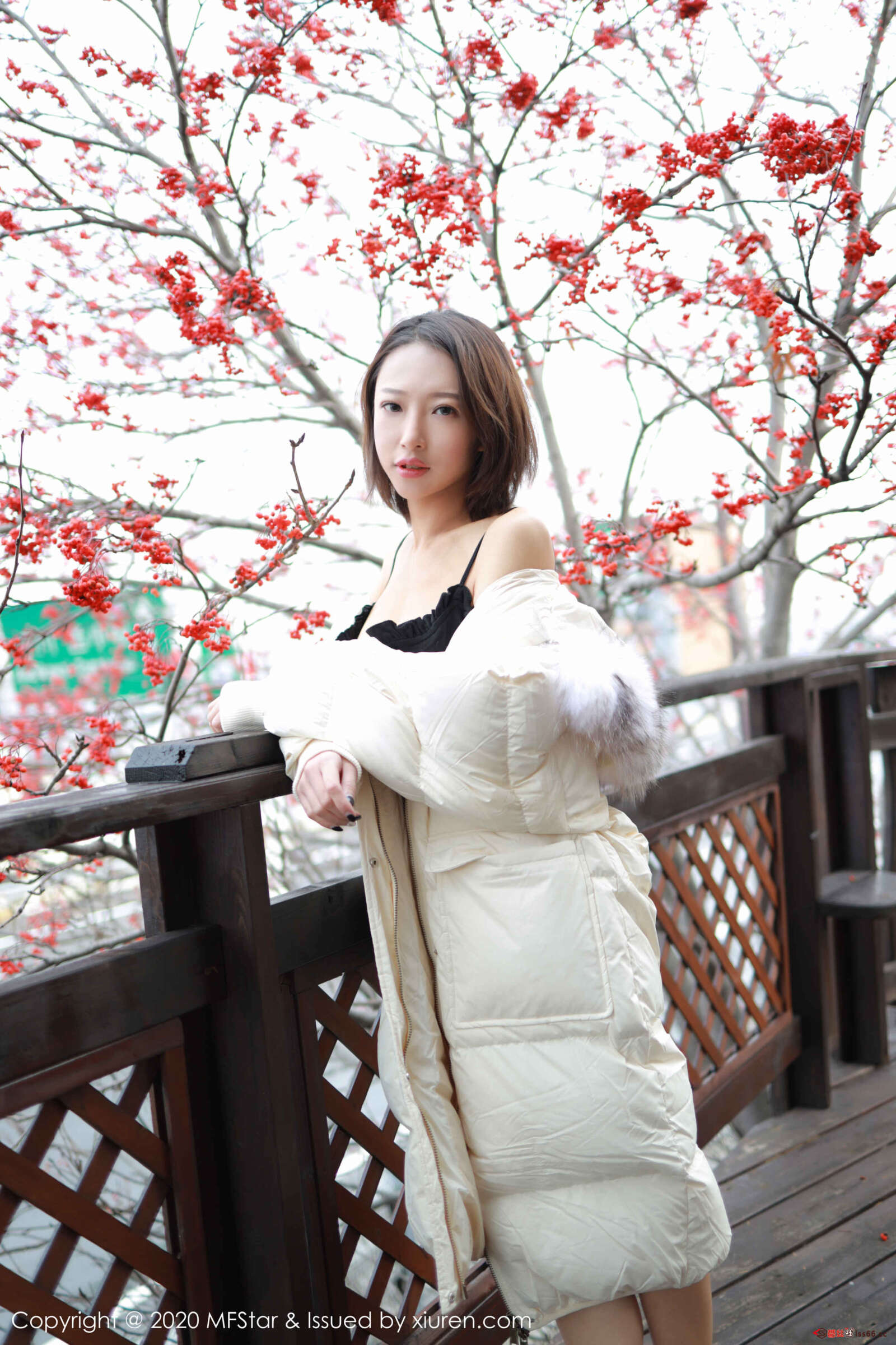 https://www.lss77.com/wp-content/uploads/2020/01/0005-203-1600x2400.jpg