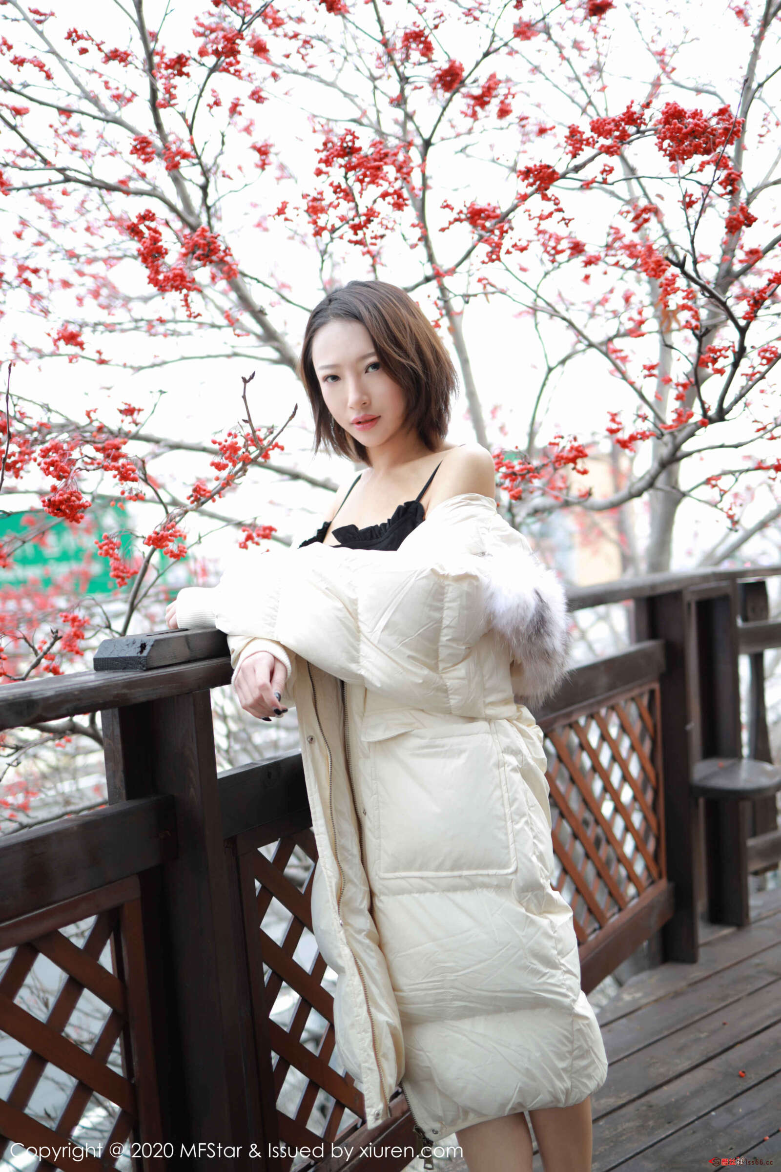 https://www.lss77.com/wp-content/uploads/2020/01/0006-203-1600x2400.jpg