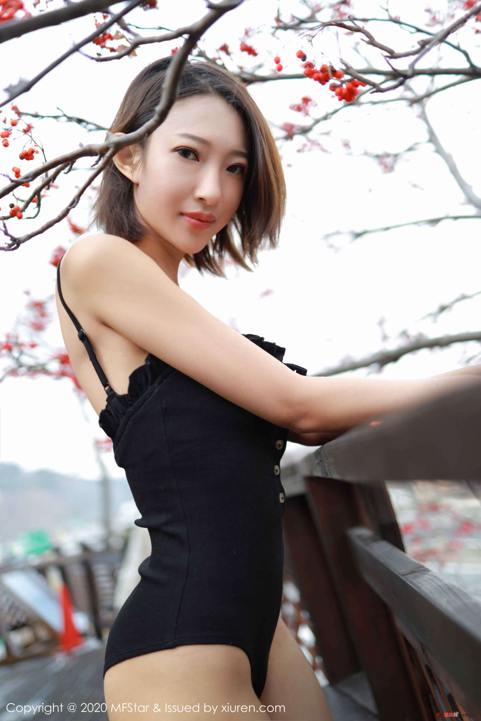 https://www.lss77.com/wp-content/uploads/2020/01/0044-116-1600x2400.jpg