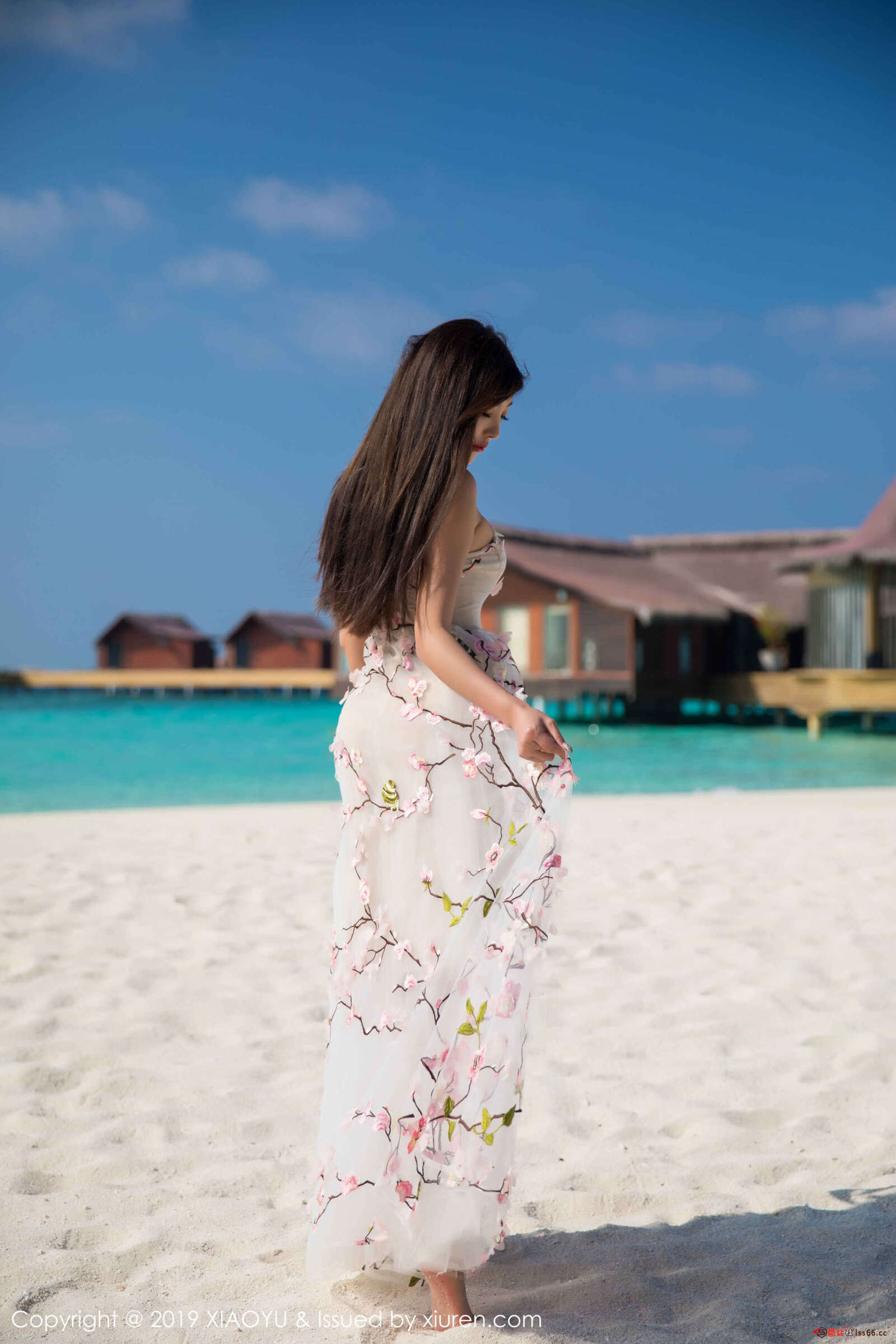 https://www.lss77.com/wp-content/uploads/2020/02/0050-159-1600x2400.jpg