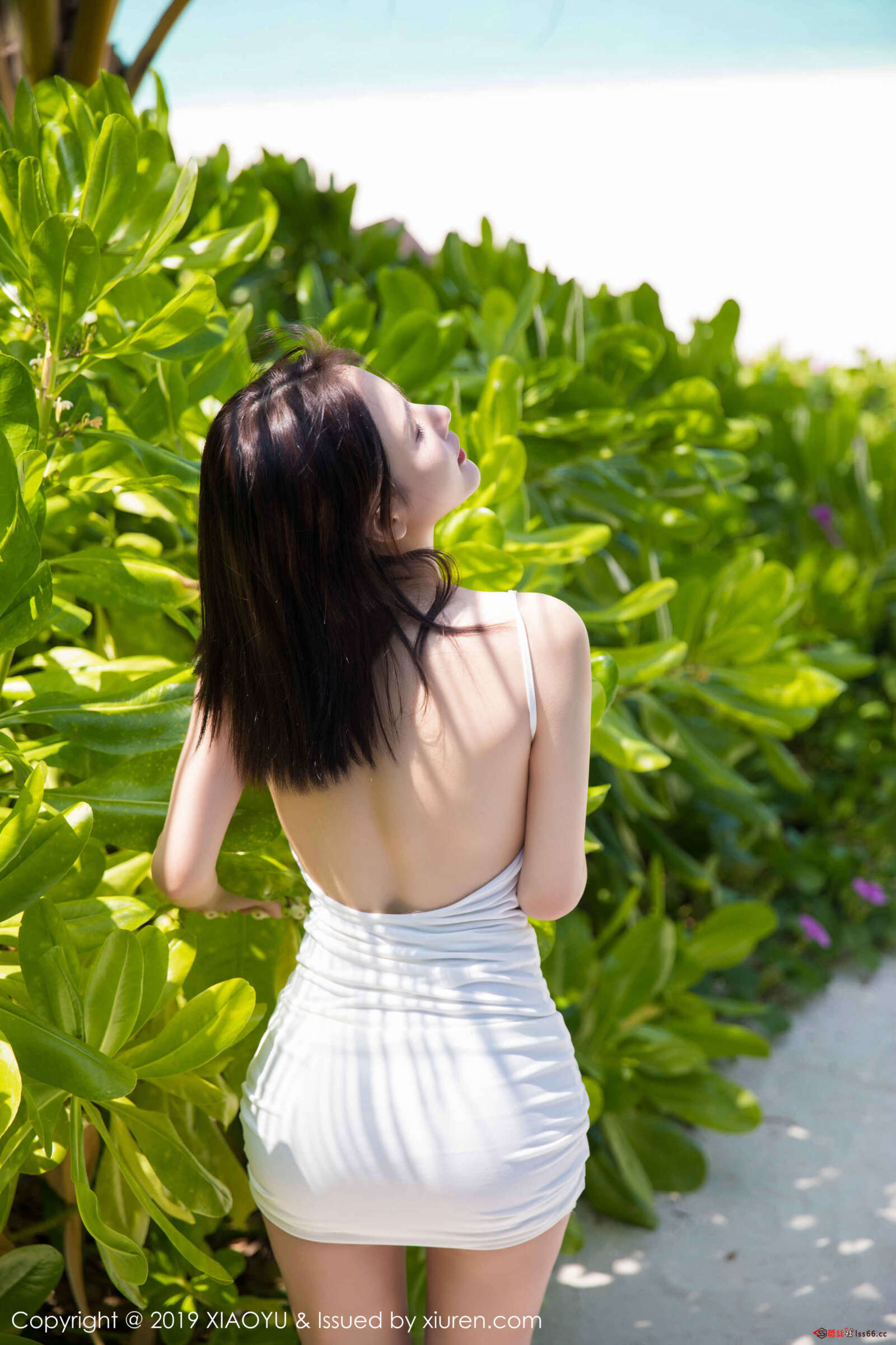 https://www.lss77.com/wp-content/uploads/2020/02/0055-90-1600x2400.jpg