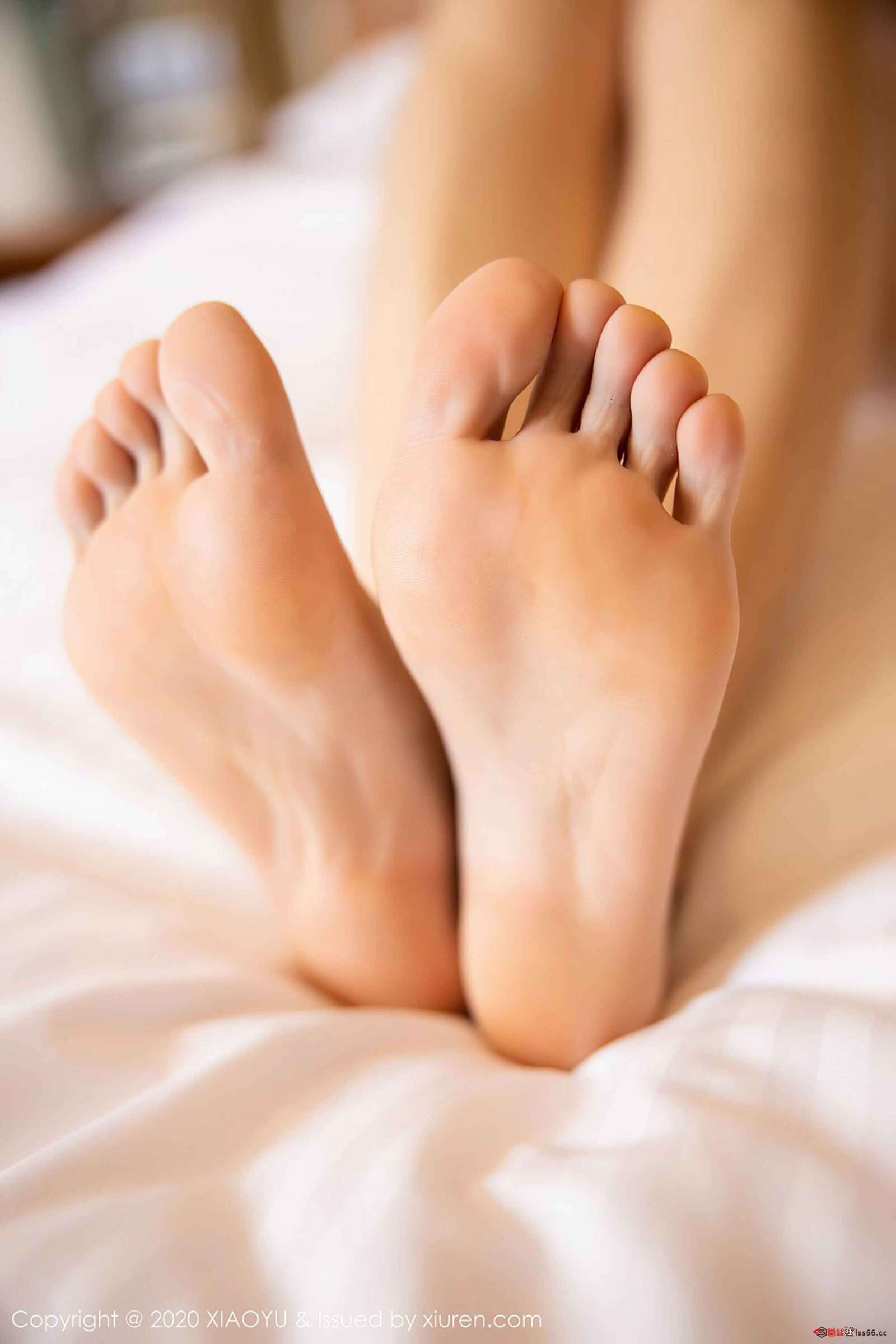 https://www.lss77.com/wp-content/uploads/2020/03/0062-85-1600x2400.jpg