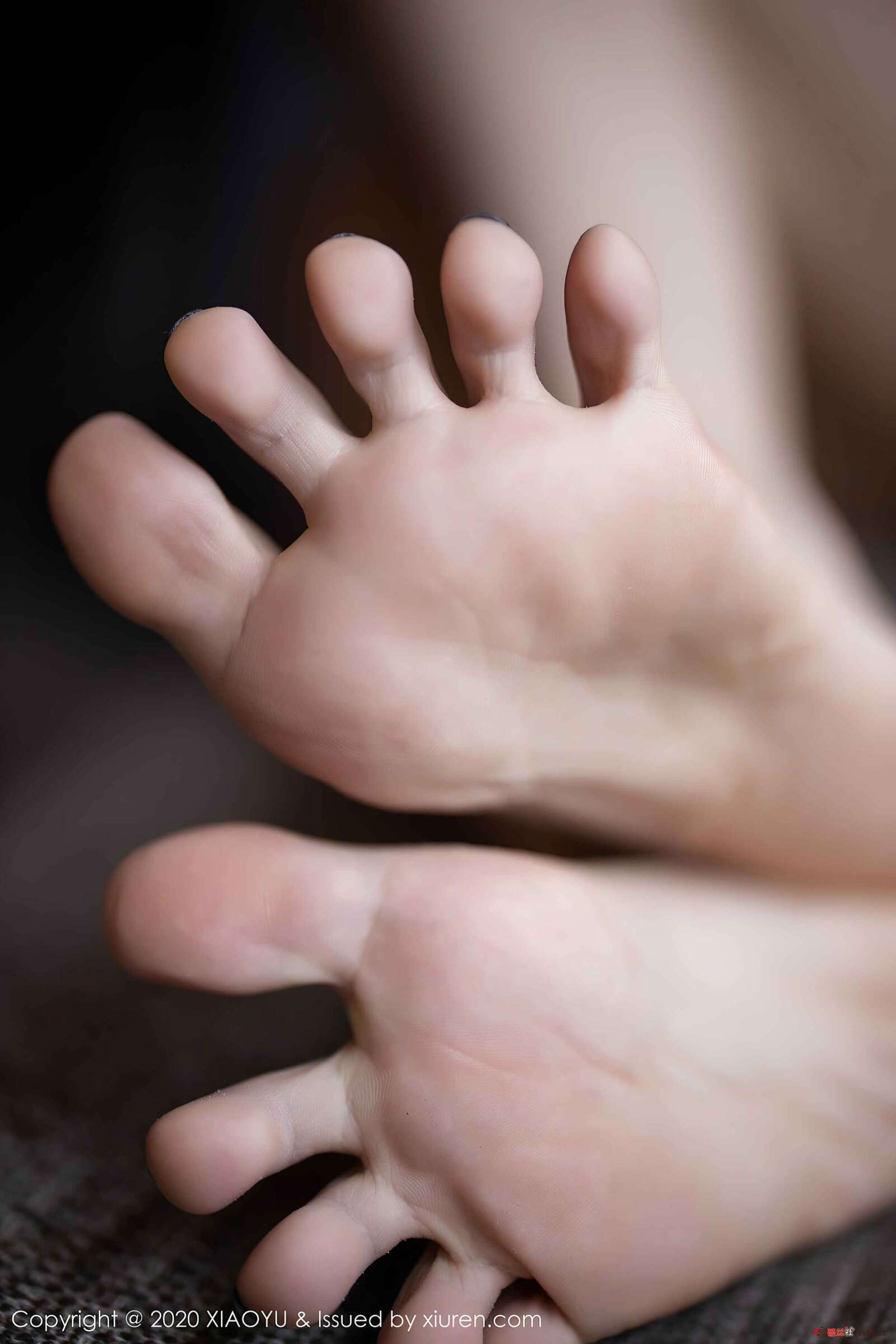 https://www.lss77.com/wp-content/uploads/2020/03/0091-1600x2400.jpg