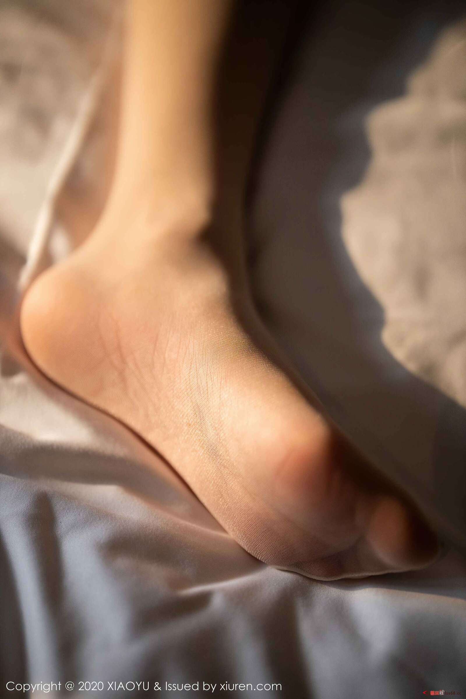 https://www.lss77.com/wp-content/uploads/2020/03/331_061_v4f_3600_5400-1600x2400.jpg
