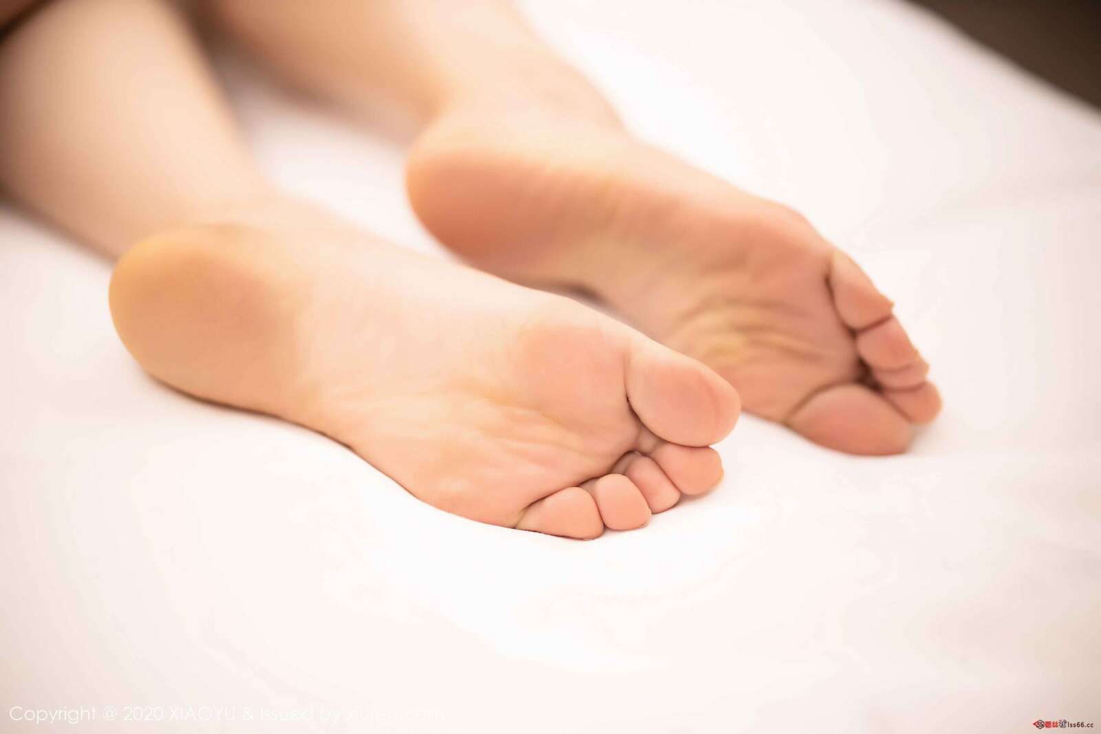 https://www.lss77.com/wp-content/uploads/2020/03/350_055_xxp_5400_3600-1600x1067.jpg