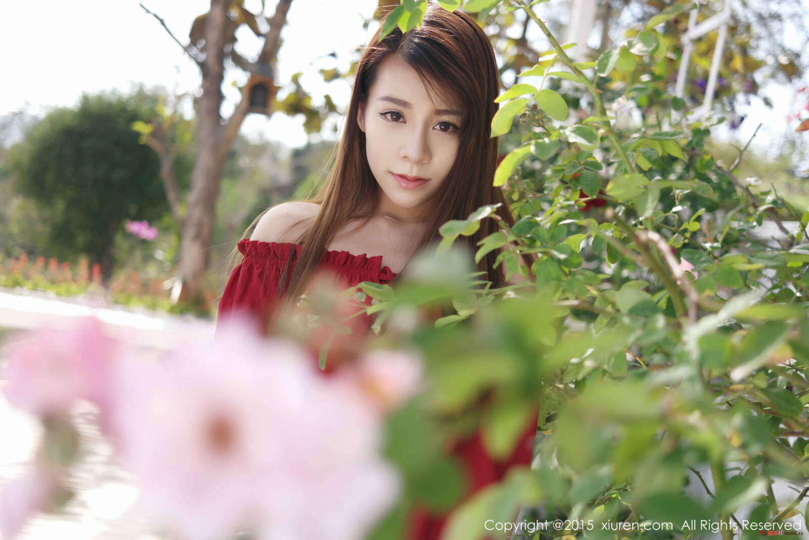 https://www.lss77.com/wp-content/uploads/2020/04/0023-186-1600x1067.jpg