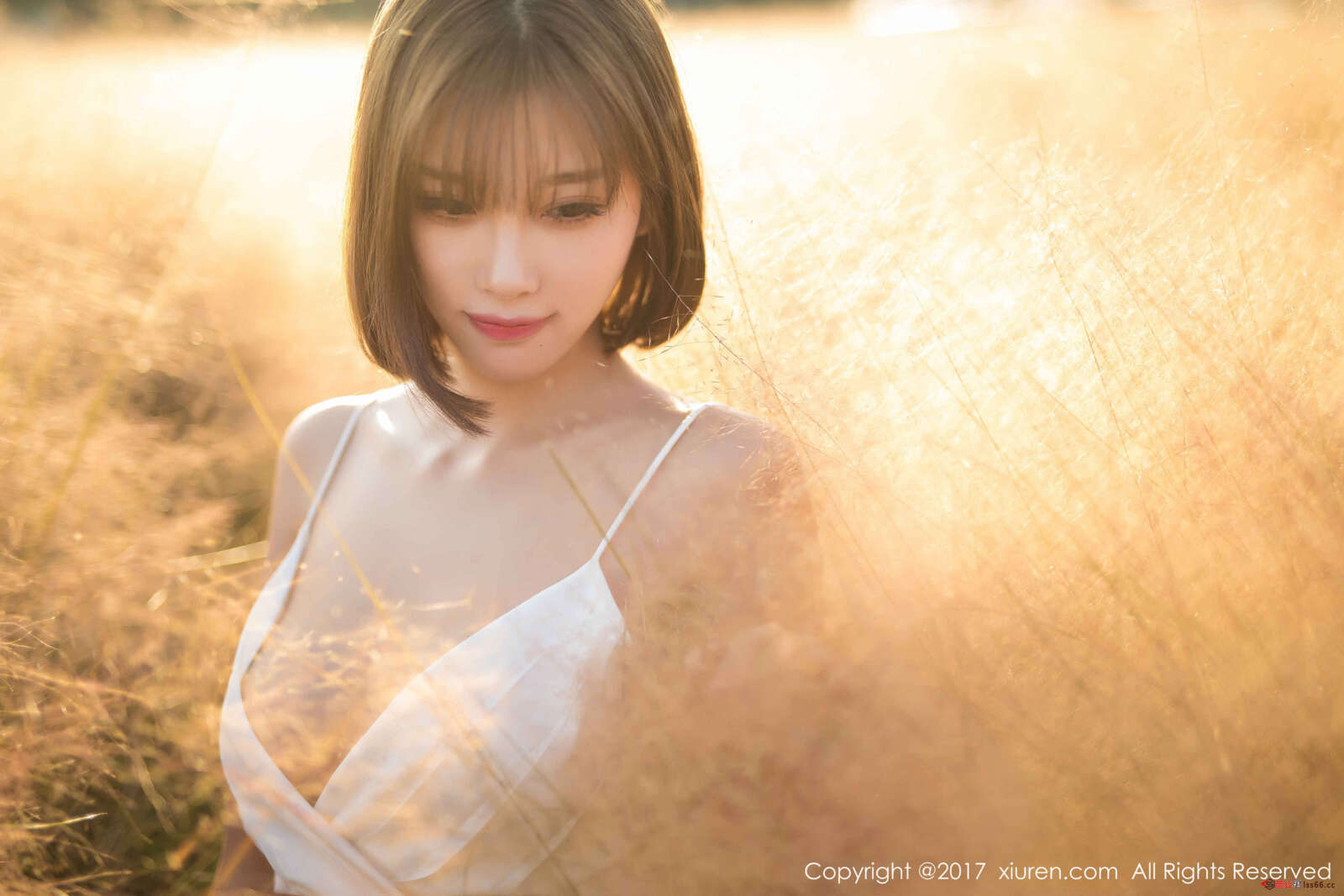 https://www.lss77.com/wp-content/uploads/2020/05/0010-126-1600x1067.jpg