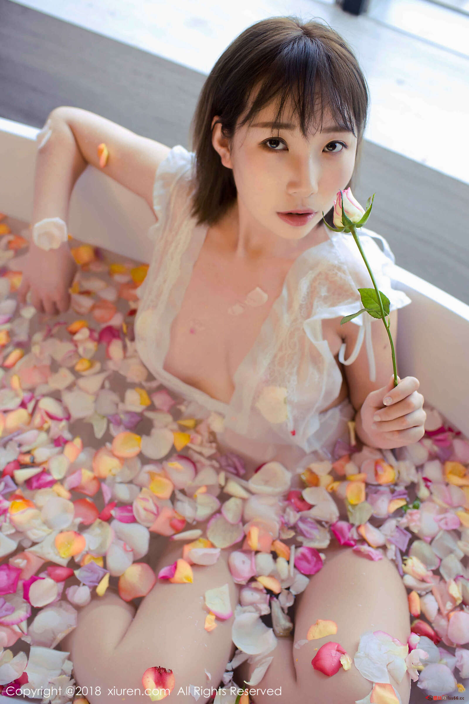 https://www.lss77.com/wp-content/uploads/2020/05/0017-186-1600x2400.jpg