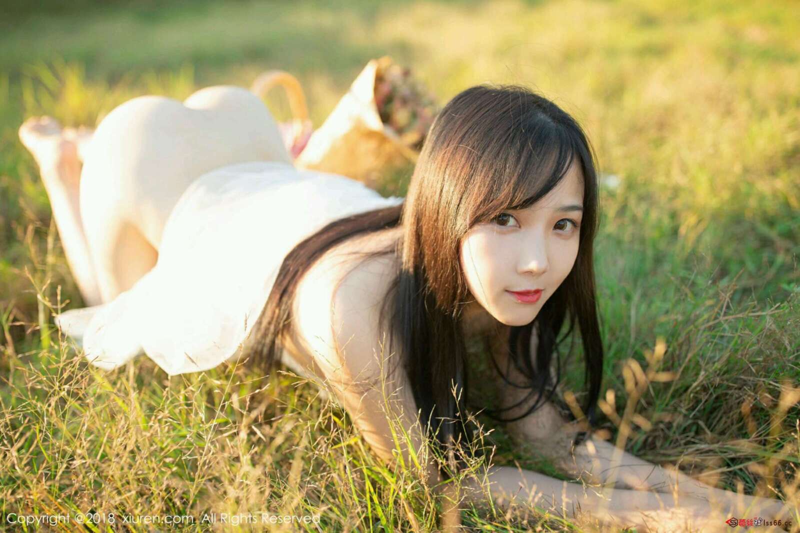 https://www.lss77.com/wp-content/uploads/2020/05/0023-497-1600x1067.jpg