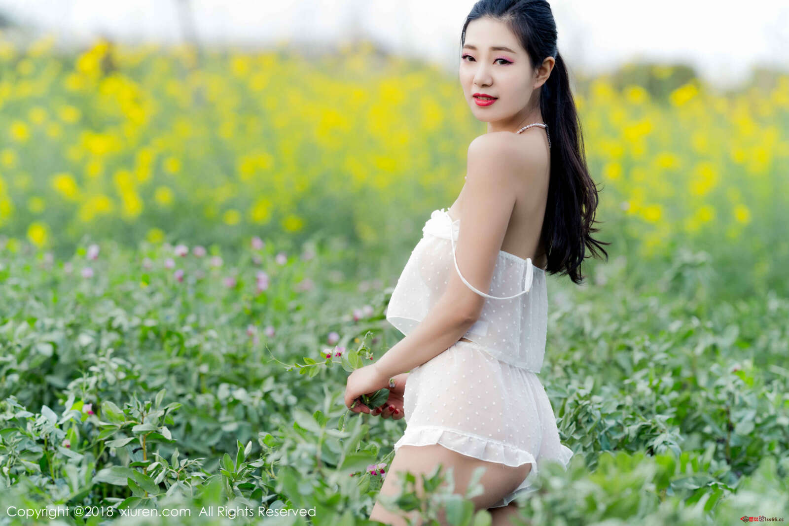 https://www.lss77.com/wp-content/uploads/2020/05/0029-381-1600x1067.jpg