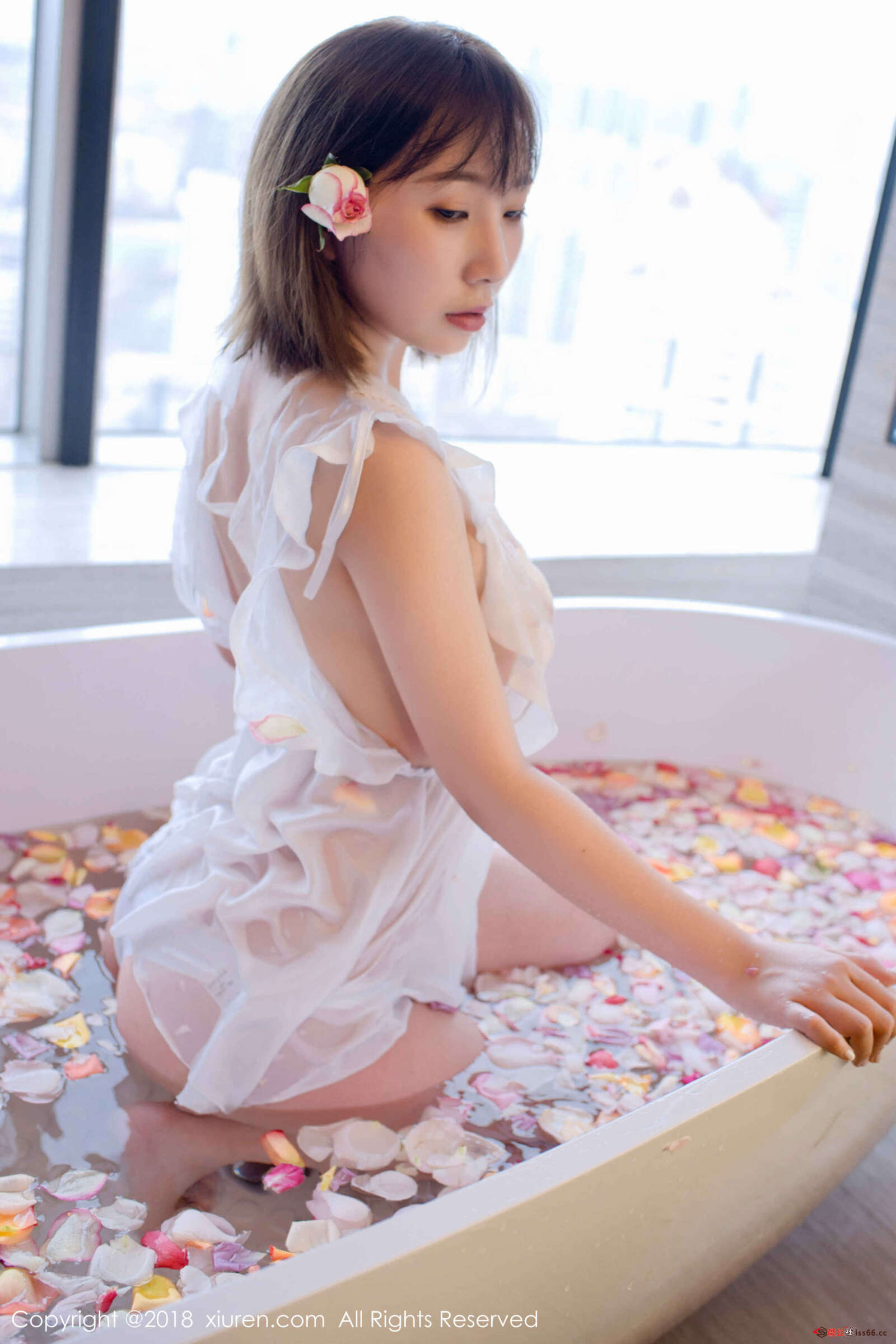 https://www.lss77.com/wp-content/uploads/2020/05/0030-186-1600x2400.jpg