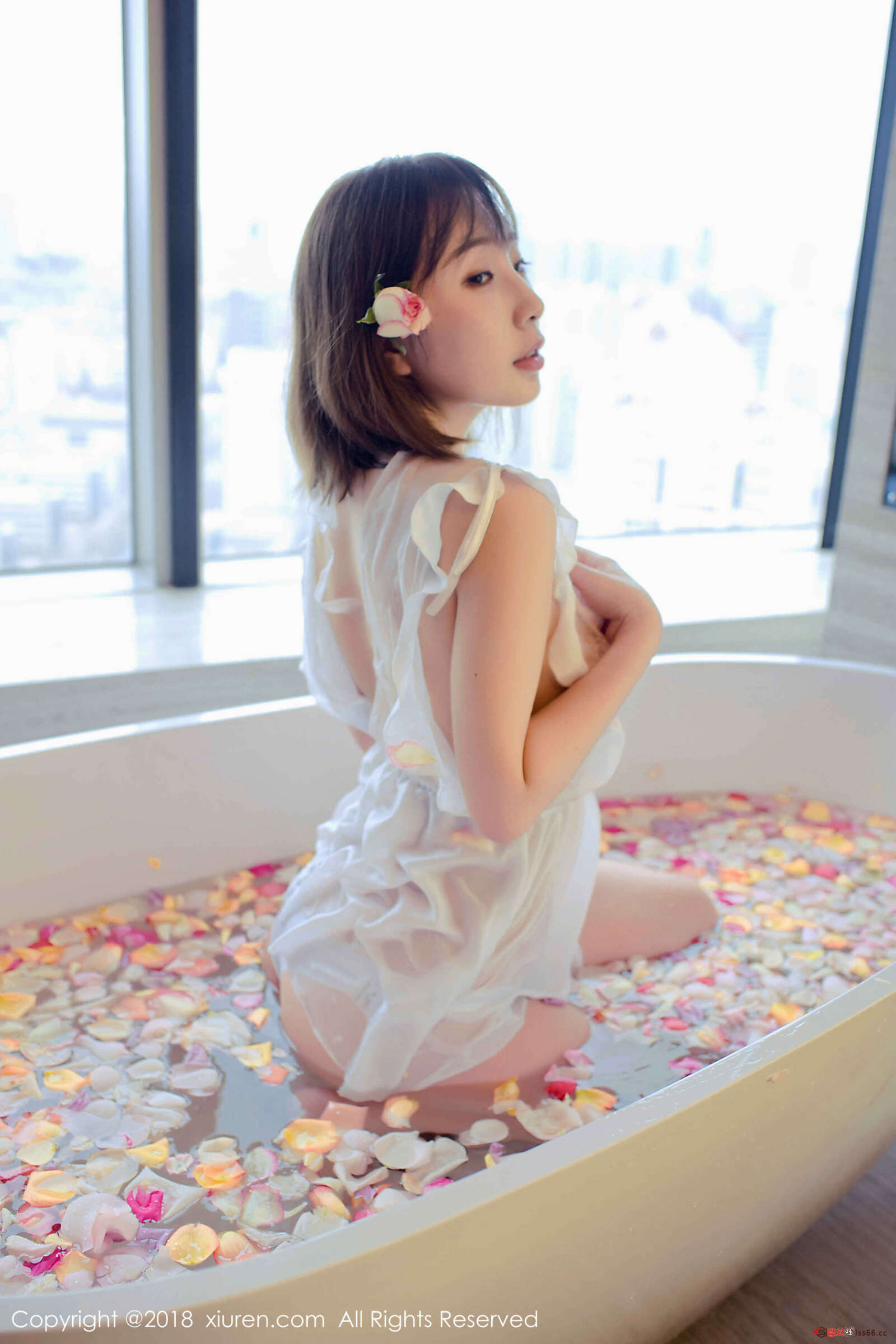 https://www.lss77.com/wp-content/uploads/2020/05/0031-185-1600x2400.jpg
