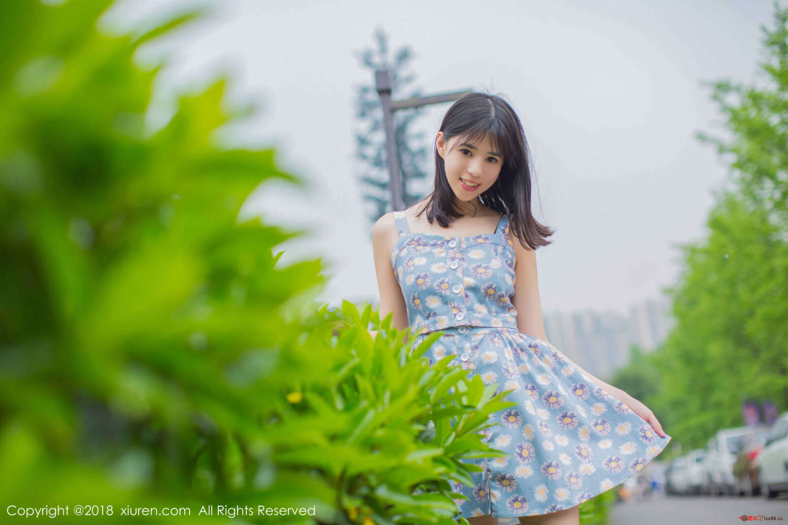 https://www.lss77.com/wp-content/uploads/2020/05/0033-345-1600x1067.jpg