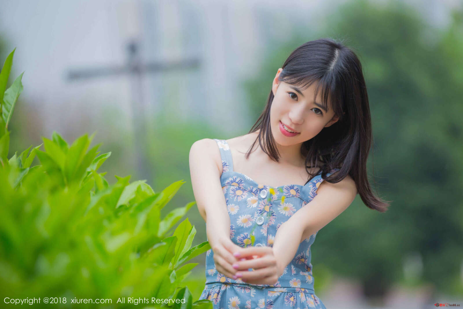 https://www.lss77.com/wp-content/uploads/2020/05/0037-338-1600x1067.jpg