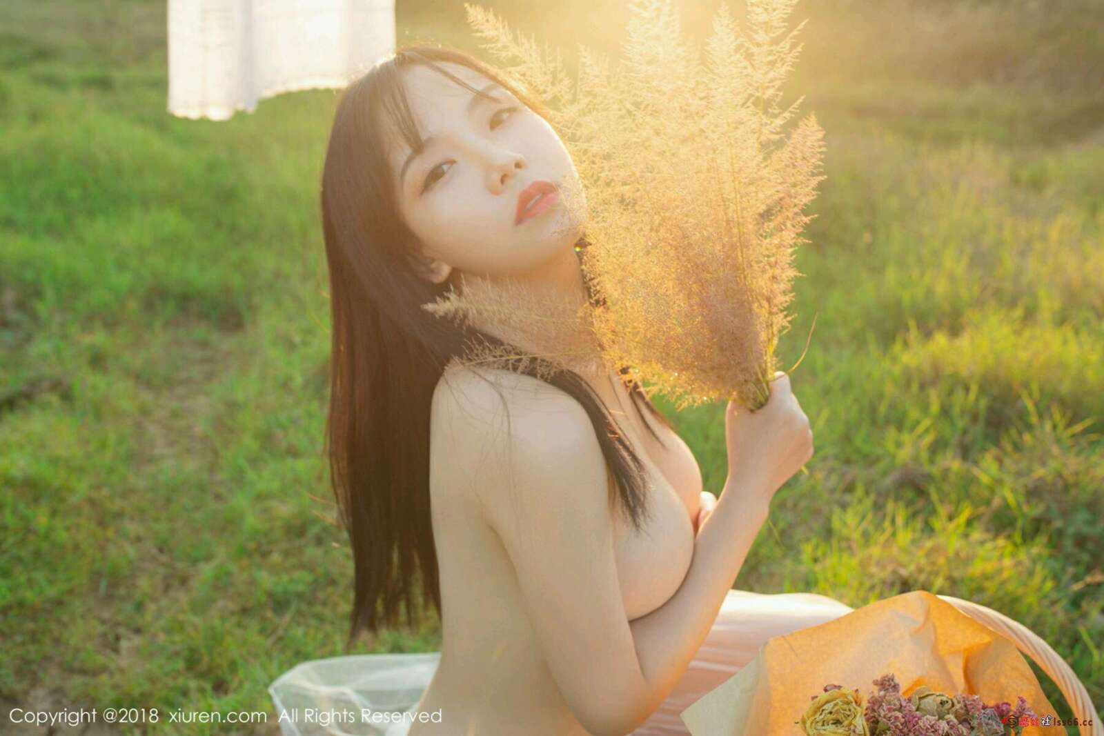 https://www.lss77.com/wp-content/uploads/2020/05/0042-424-1600x1067.jpg