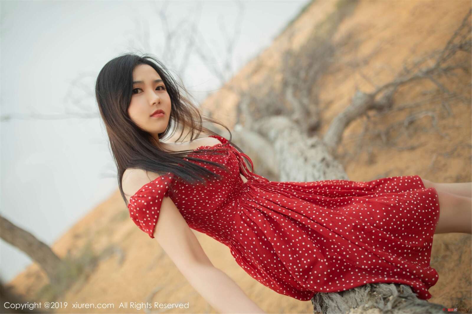 https://www.lss77.com/wp-content/uploads/2020/06/0022-64-1600x1067.jpg