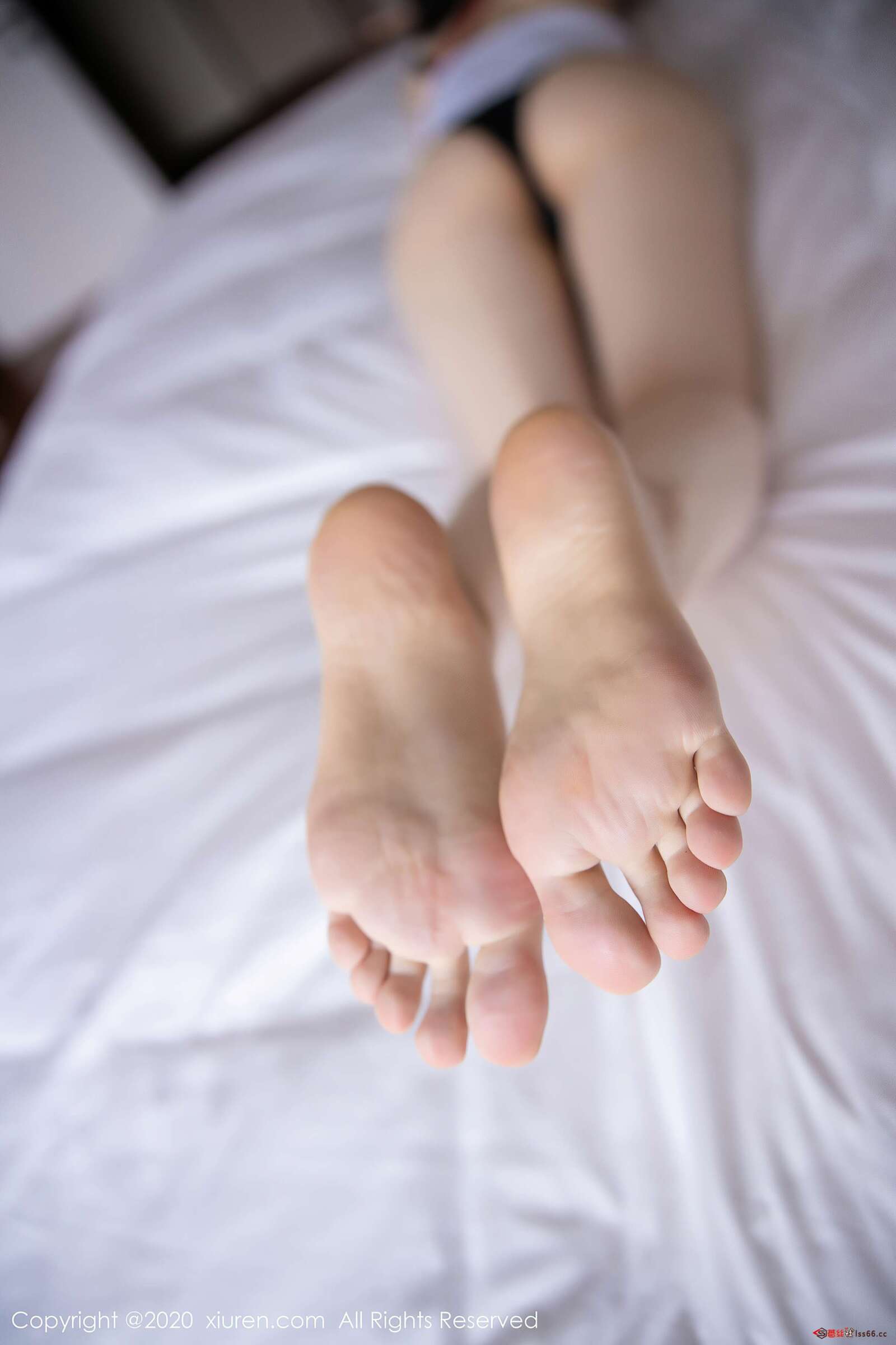 https://www.lss77.com/wp-content/uploads/2020/07/2351-75-1600x2400.jpg