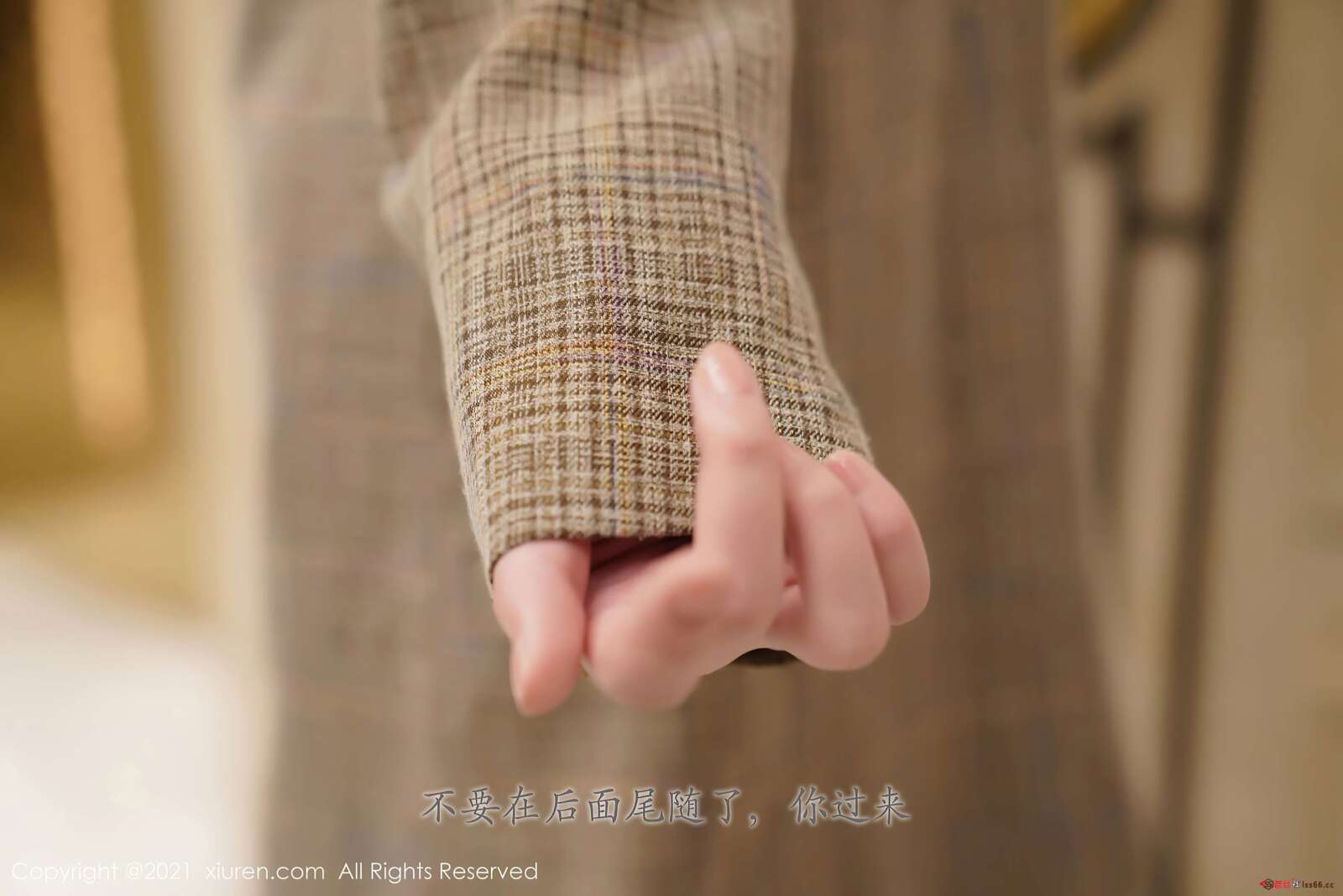 https://www.lss77.com/wp-content/uploads/2020/09/0002-437-1600x1068.jpg