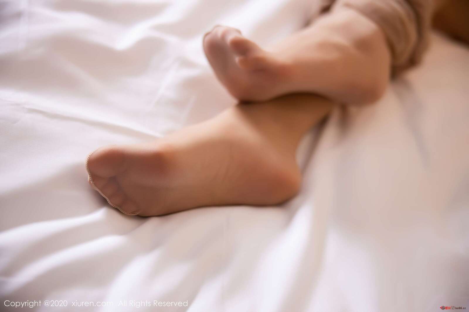 https://www.lss77.com/wp-content/uploads/2020/09/0071-10-1600x1067.jpg