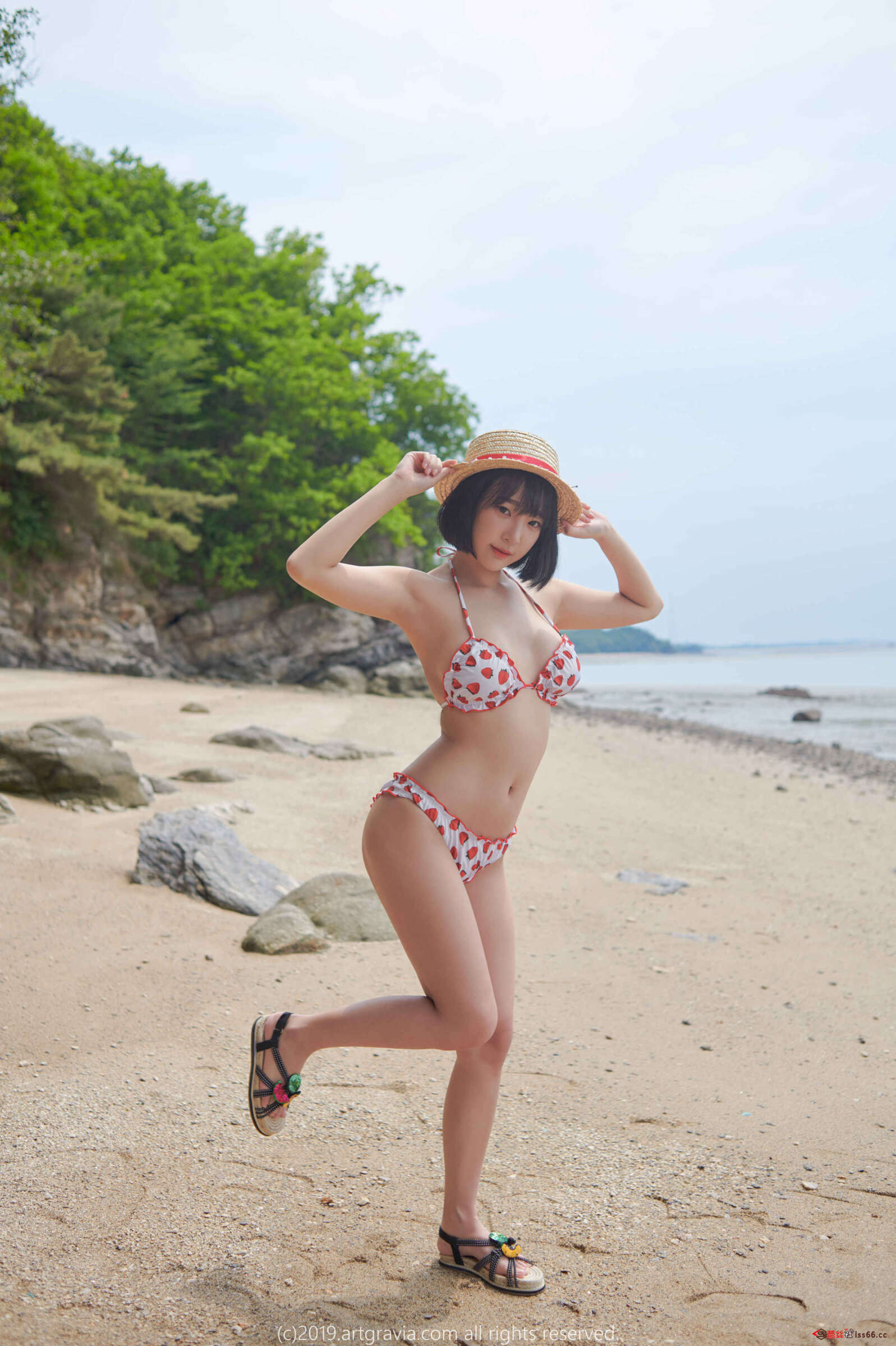 https://www.lss77.com/wp-content/uploads/2020/10/ART3868-1597x2400.jpg