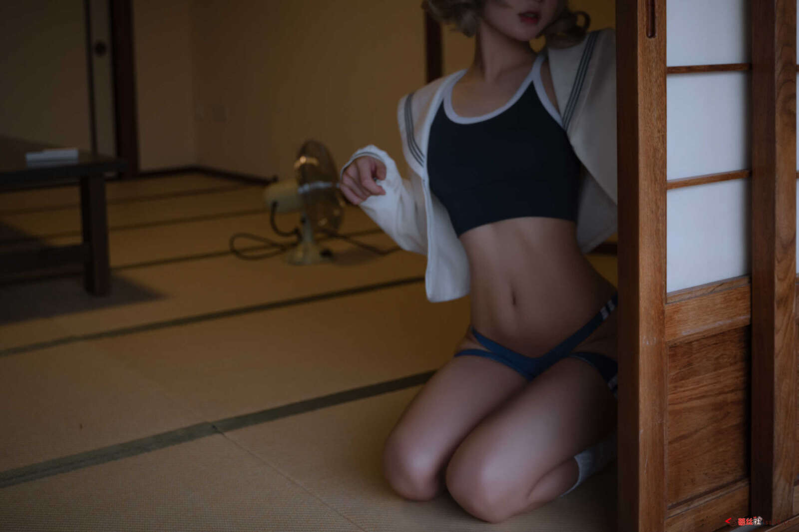 https://www.lss77.com/wp-content/uploads/2020/10/lss-1-57-1600x1066.jpg