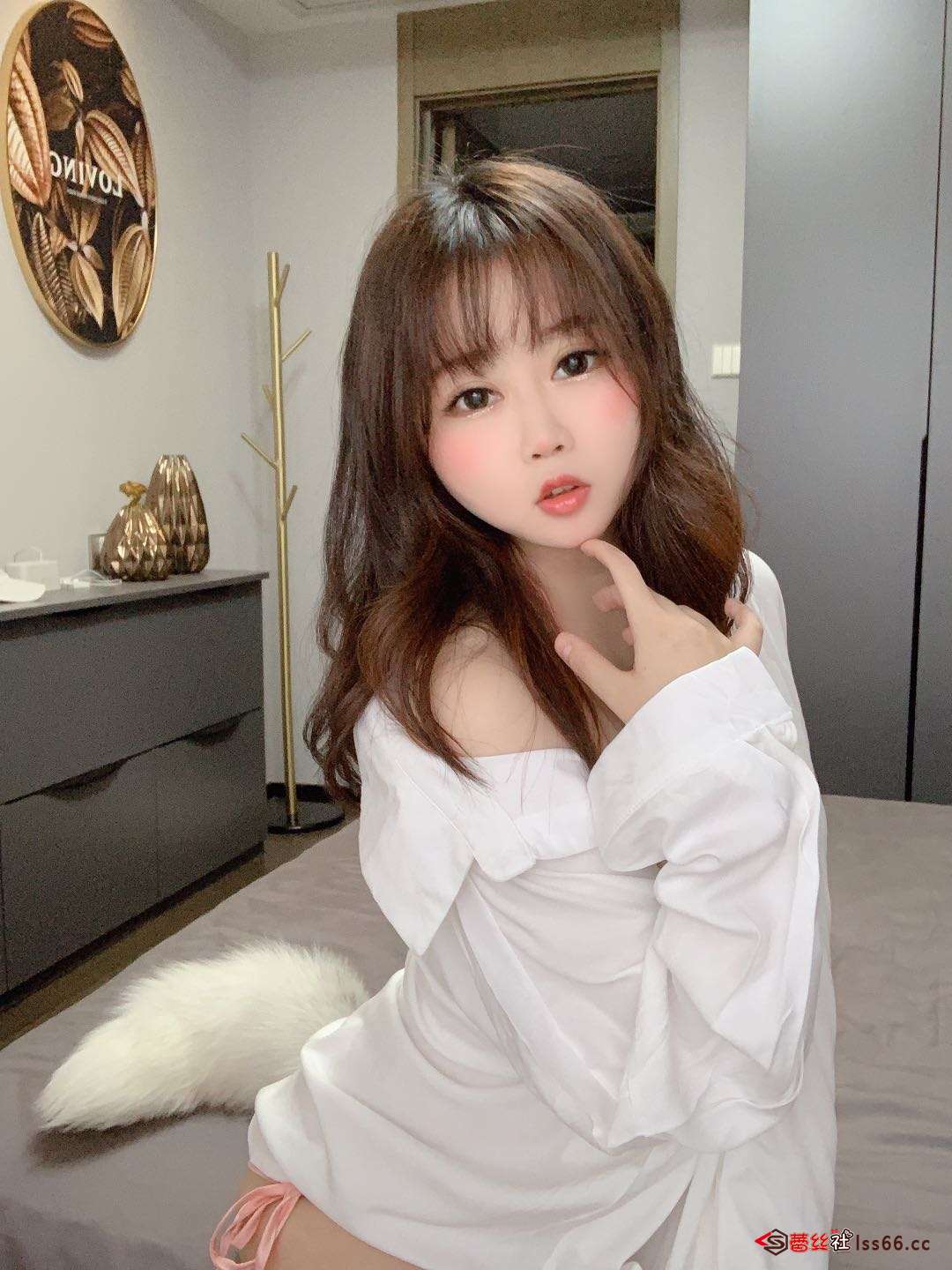 https://www.lss77.com/wp-content/uploads/2020/10/lss-1-87.jpg