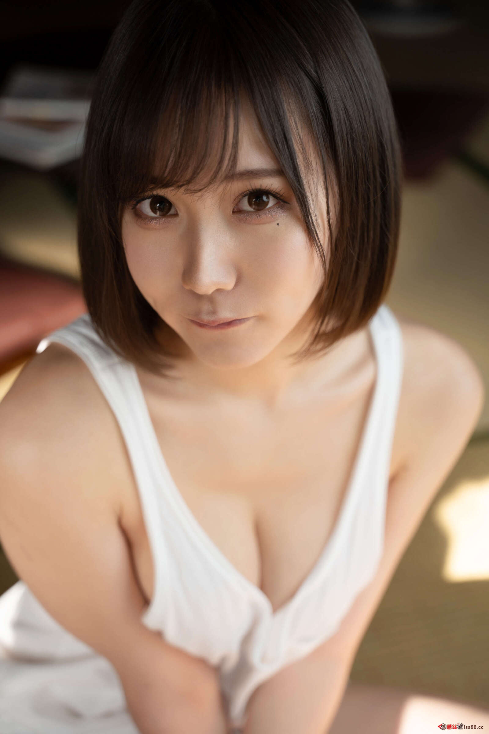 https://www.lss77.com/wp-content/uploads/2020/10/lss-118-2-1600x2400.jpg