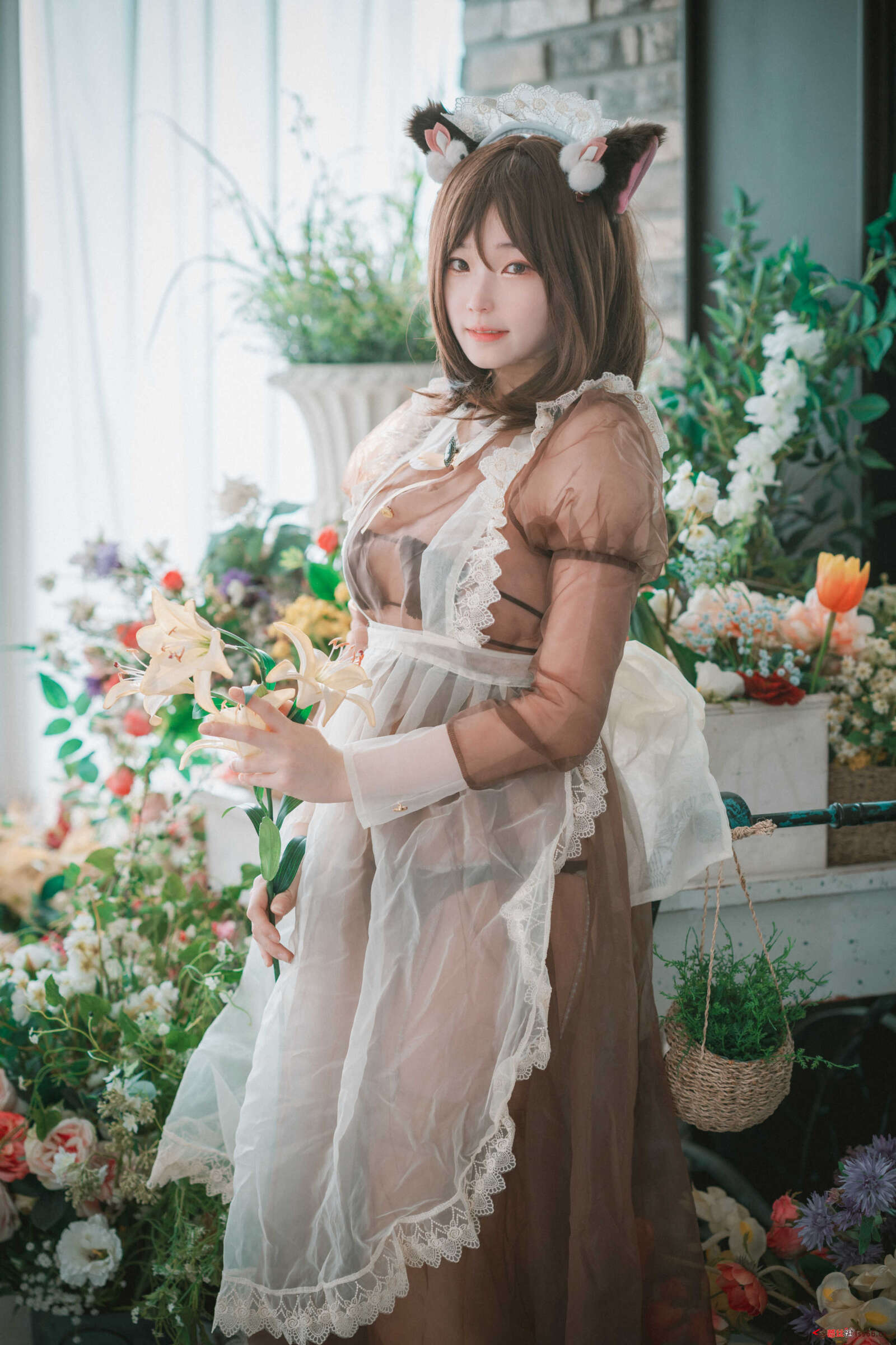 https://www.lss77.com/wp-content/uploads/2020/10/lss-12-212-1600x2400.jpg