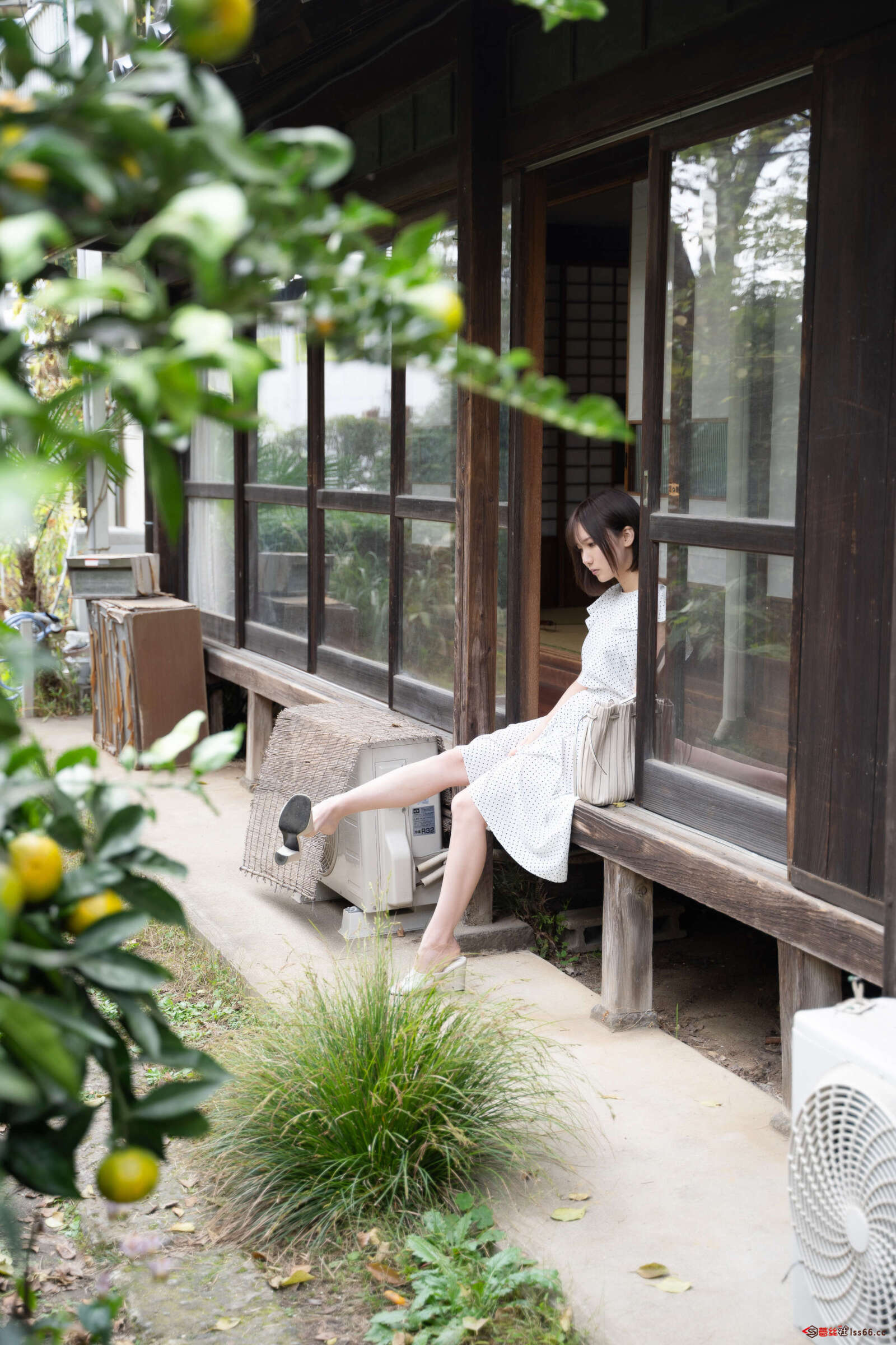 https://www.lss77.com/wp-content/uploads/2020/10/lss-145-1-1600x2400.jpg