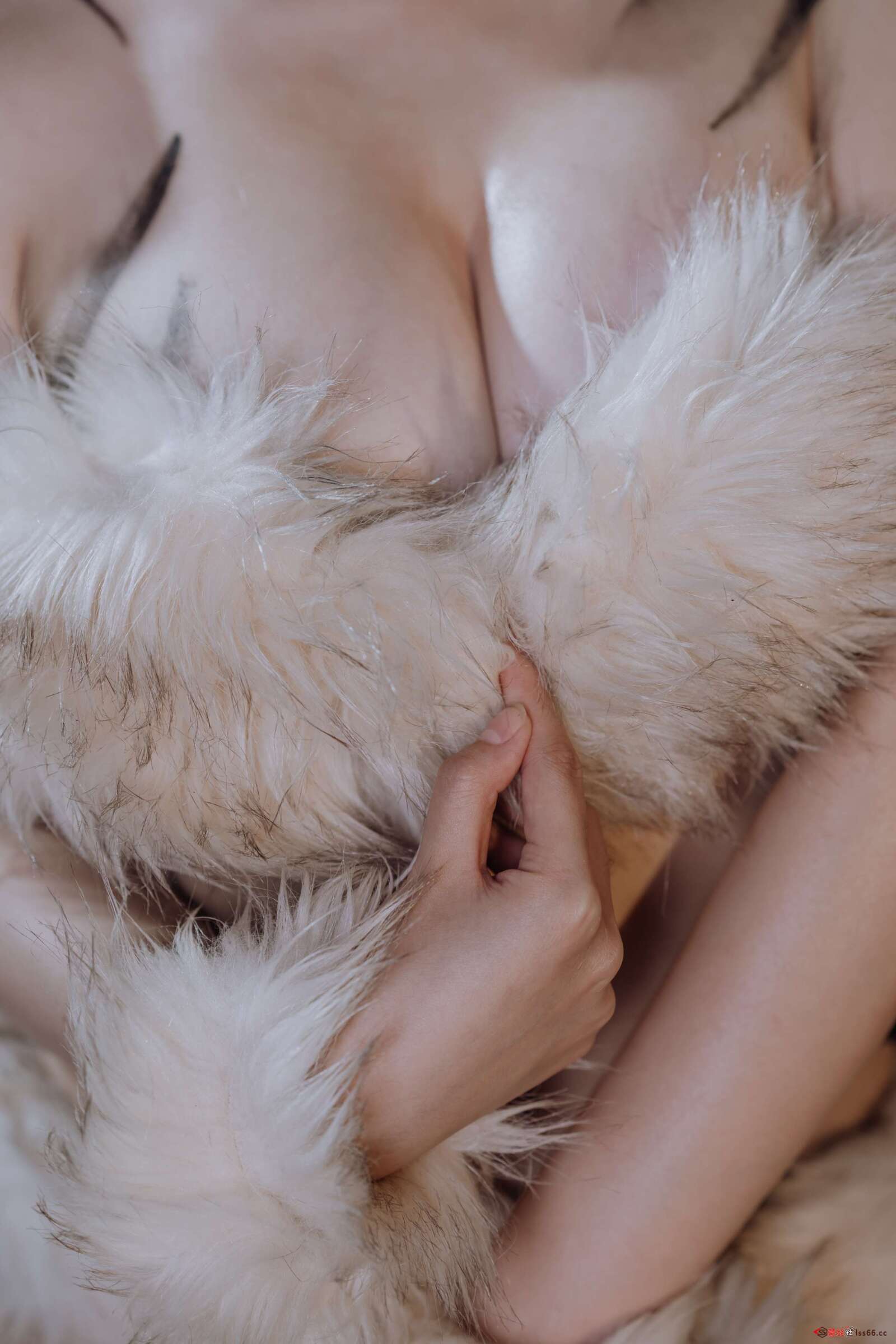 https://www.lss77.com/wp-content/uploads/2020/10/lss-15-185-1600x2400.jpg