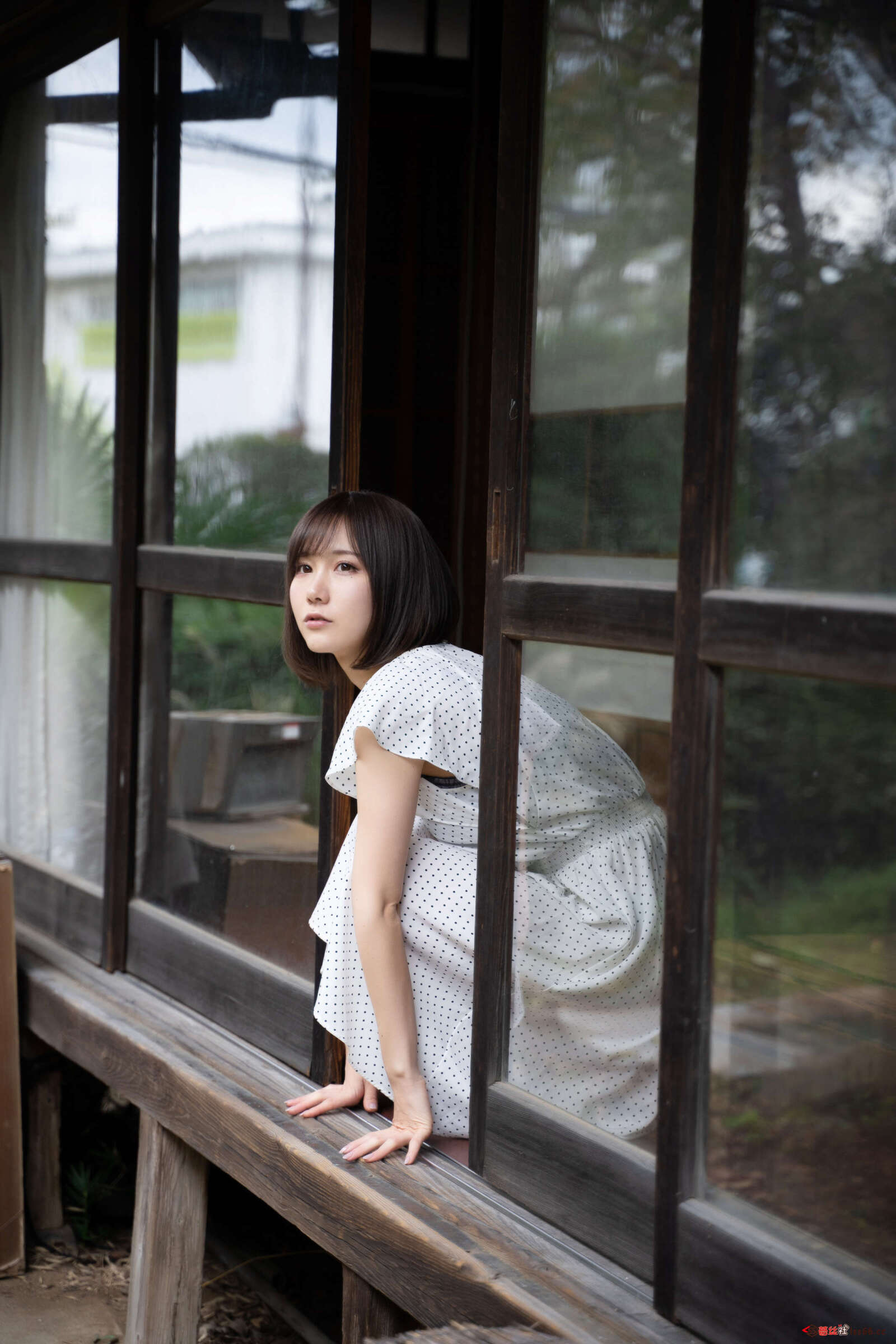 https://www.lss77.com/wp-content/uploads/2020/10/lss-183-1600x2400.jpg