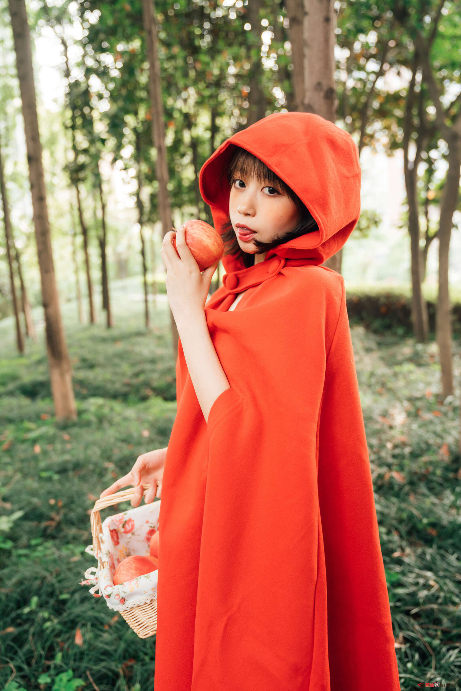 https://www.lss77.com/wp-content/uploads/2020/10/lss-26-103-1600x2398.jpg