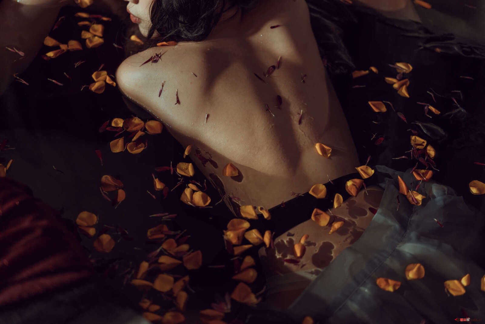 https://www.lss77.com/wp-content/uploads/2020/10/lss-26-132-1600x1067.jpg