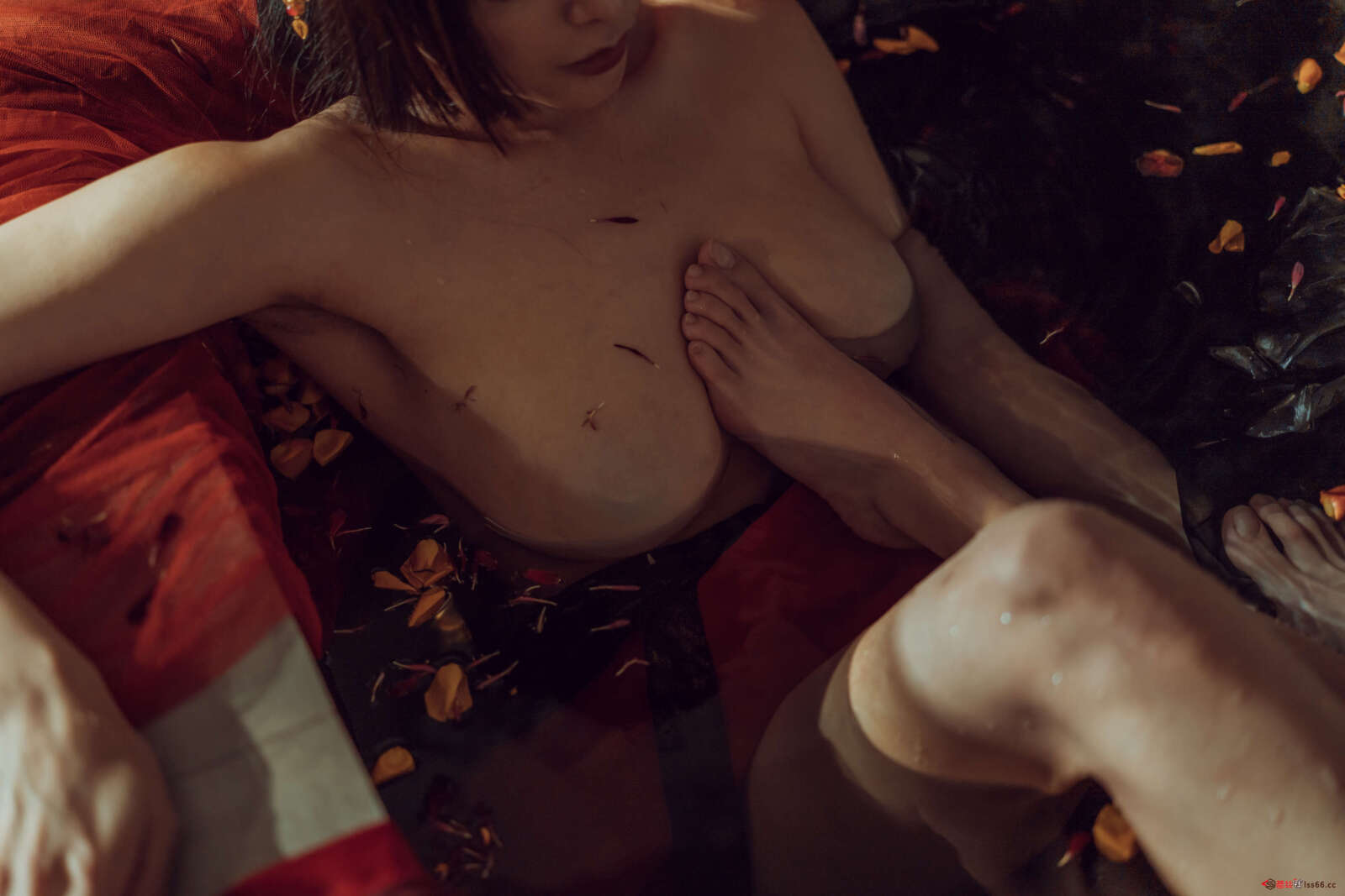 https://www.lss77.com/wp-content/uploads/2020/10/lss-28-123-1600x1067.jpg