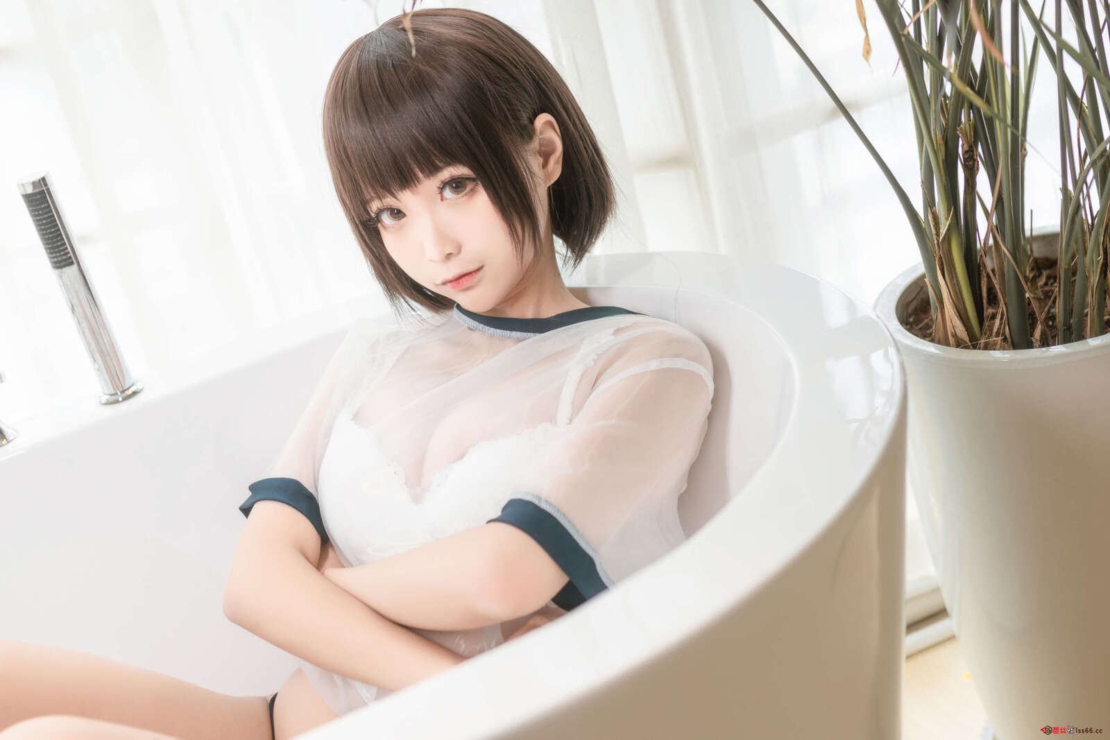 https://www.lss77.com/wp-content/uploads/2020/10/lss-31-43-1600x1067.jpg