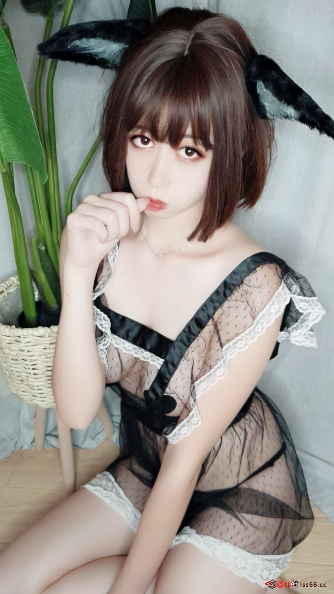 https://www.lss77.com/wp-content/uploads/2020/10/lss-31-83.jpg