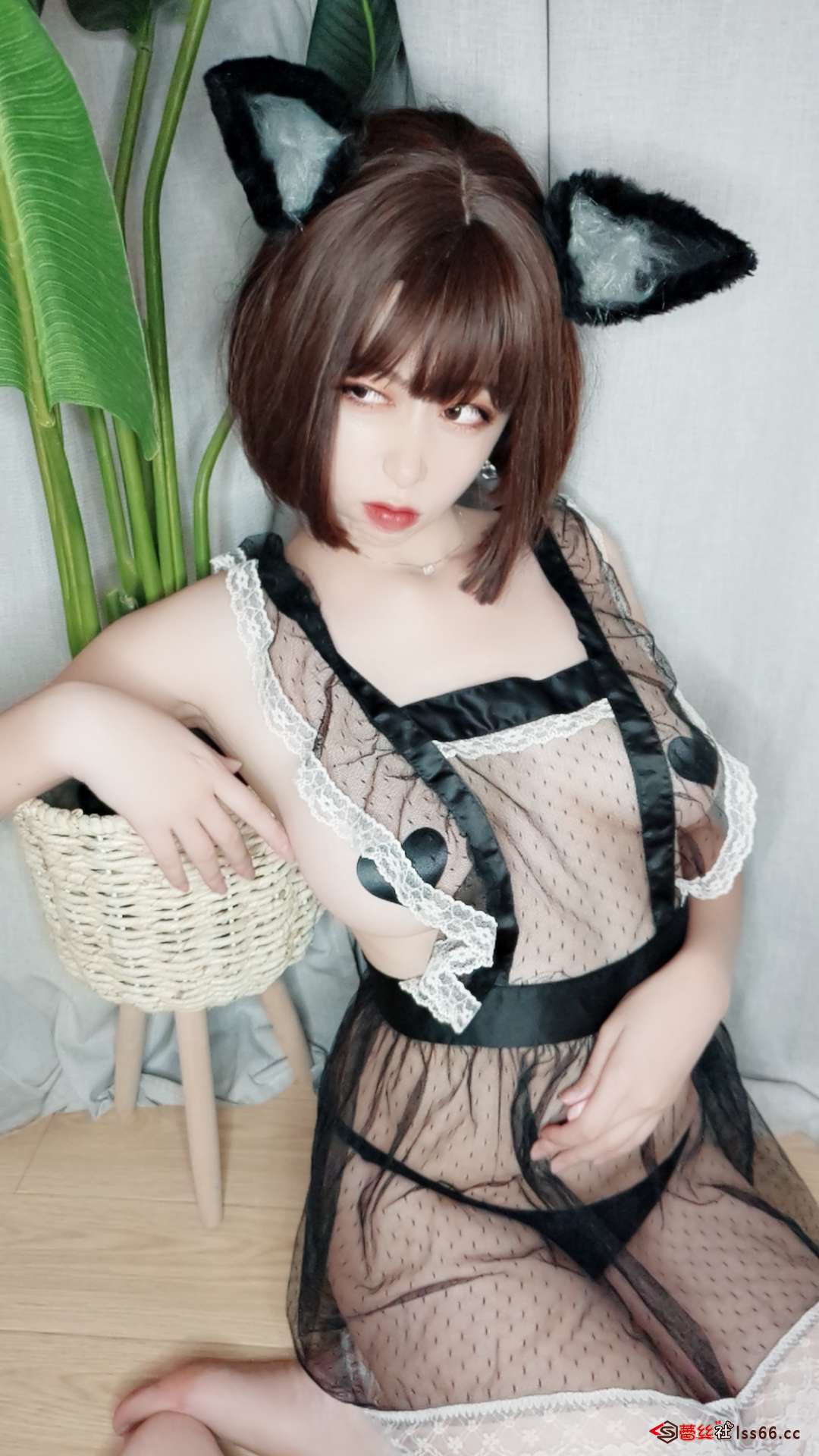https://www.lss77.com/wp-content/uploads/2020/10/lss-38-76.jpg
