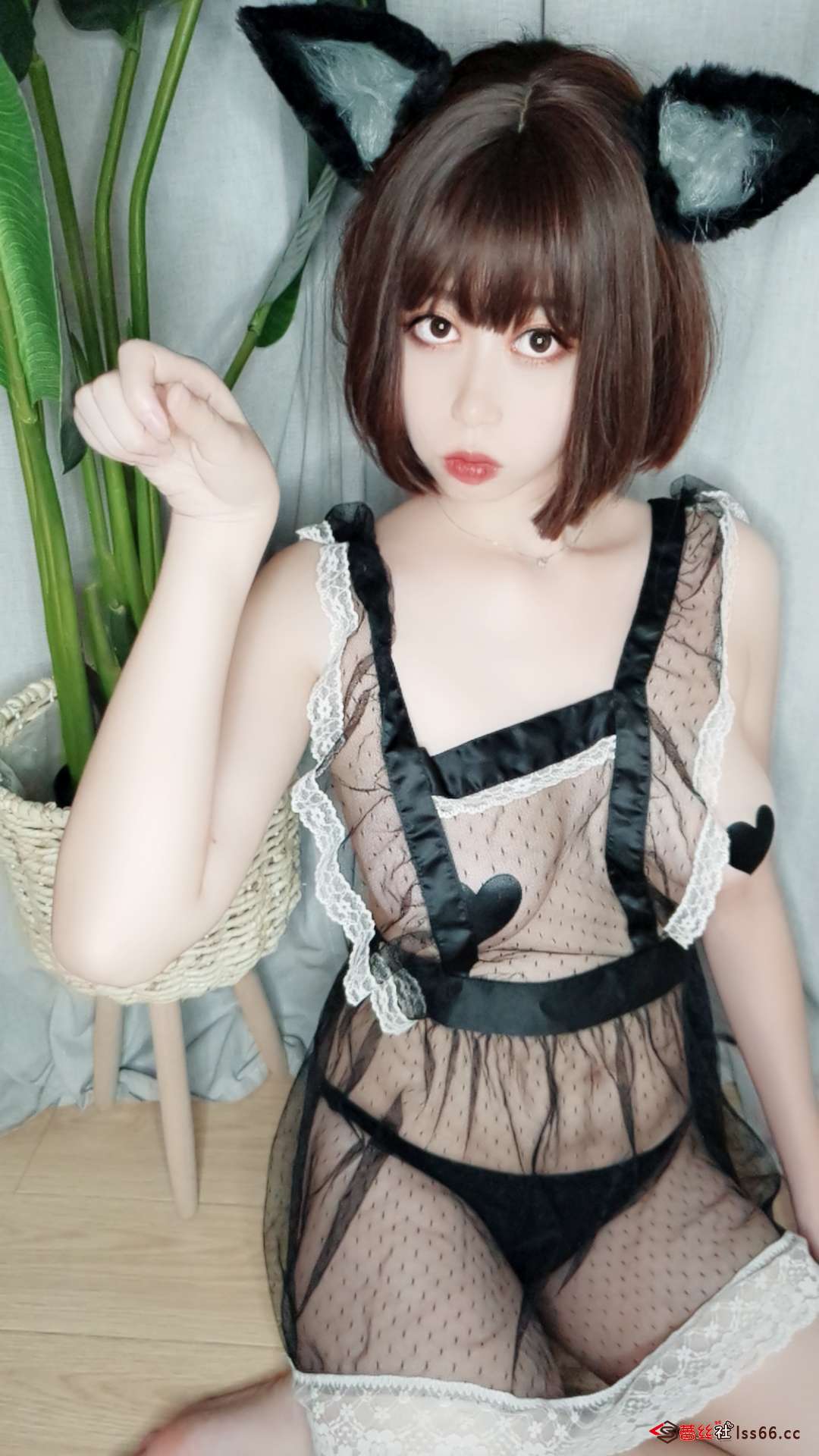 https://www.lss77.com/wp-content/uploads/2020/10/lss-40-71.jpg