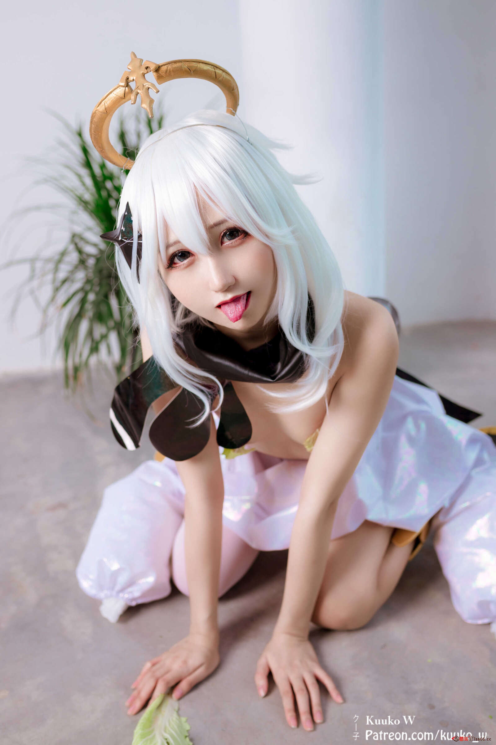 https://www.lss77.com/wp-content/uploads/2020/11/ss-12-87-1600x2400.jpg