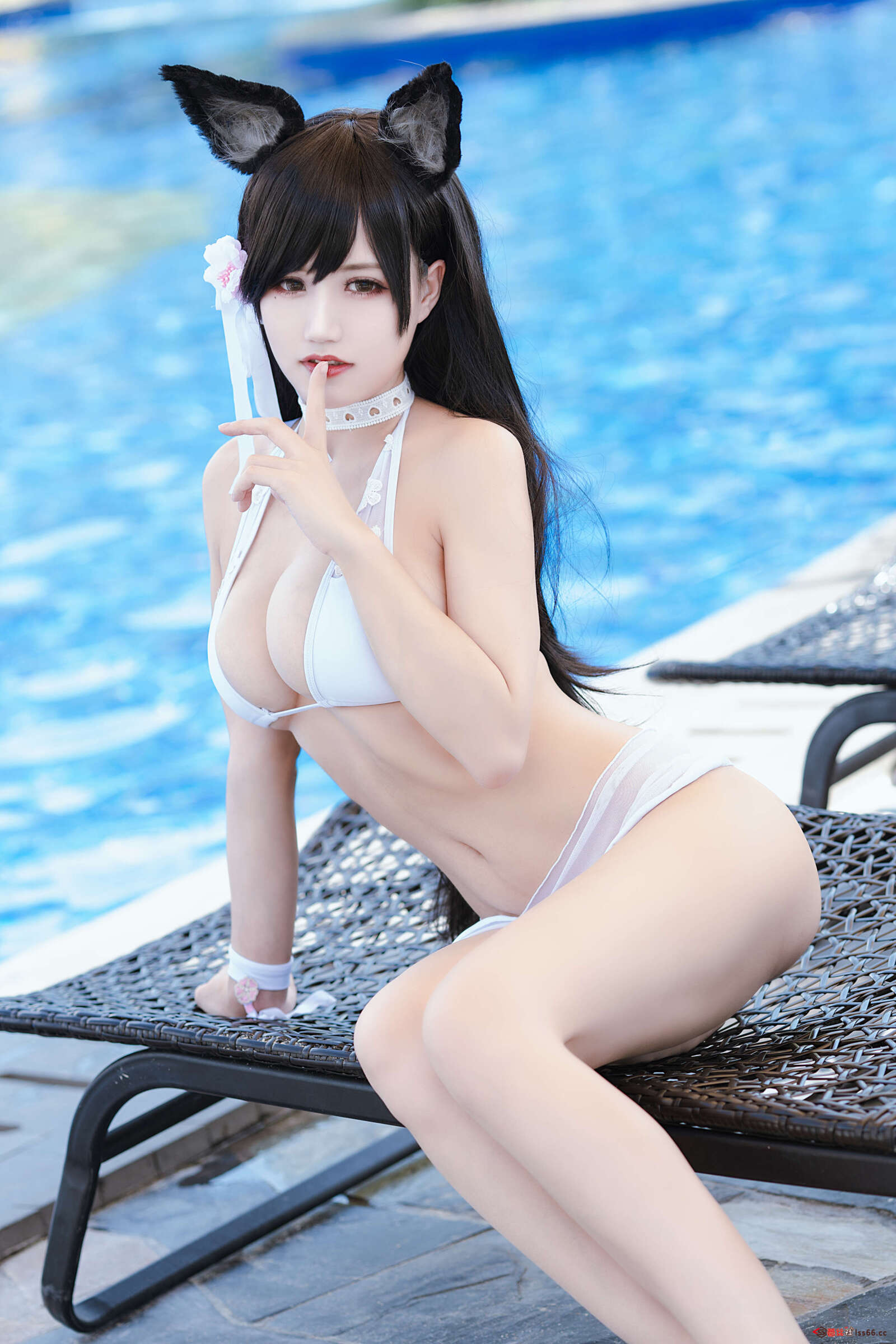 https://www.lss77.com/wp-content/uploads/2020/11/ss-13-113-1600x2400.jpg