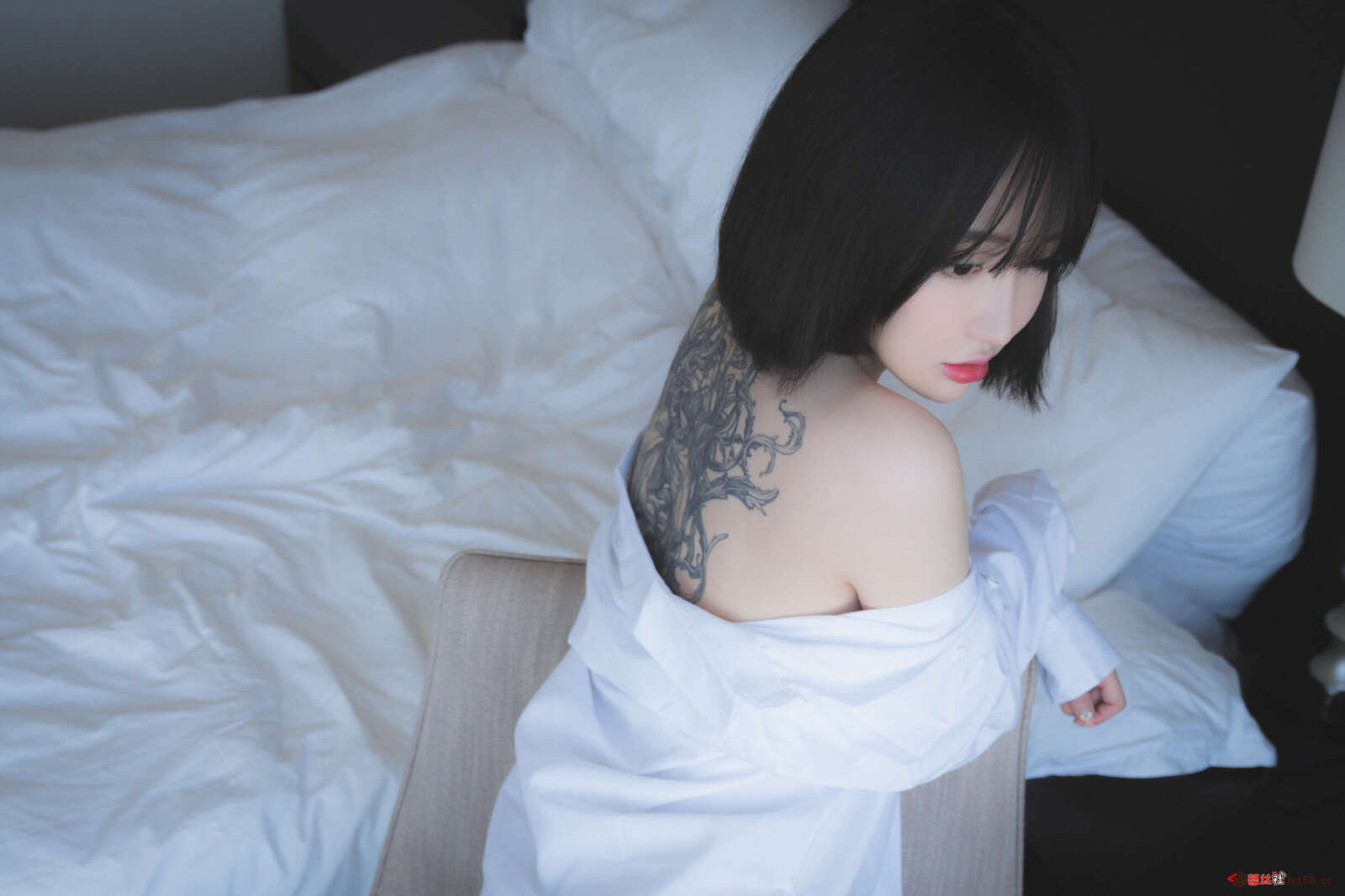 https://www.lss77.com/wp-content/uploads/2020/11/ss-14-53-1600x1067.jpg
