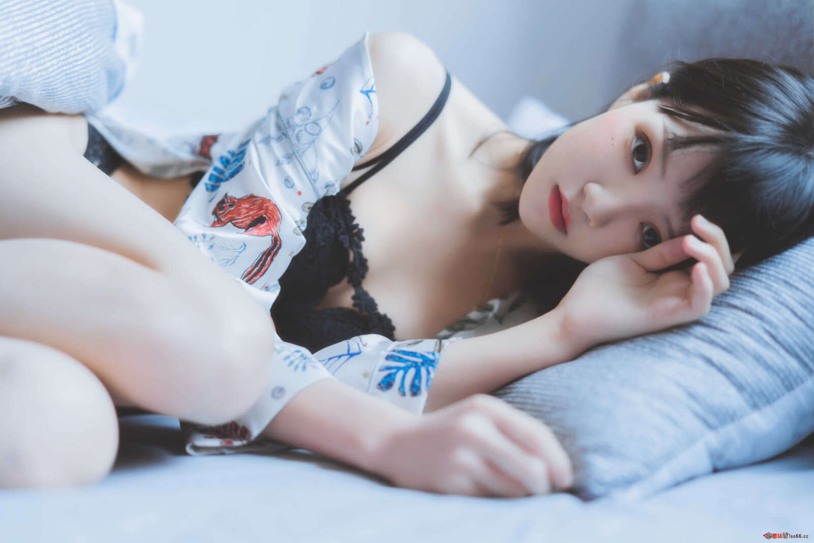 https://www.lss77.com/wp-content/uploads/2020/12/0022-13-1600x1067.jpg