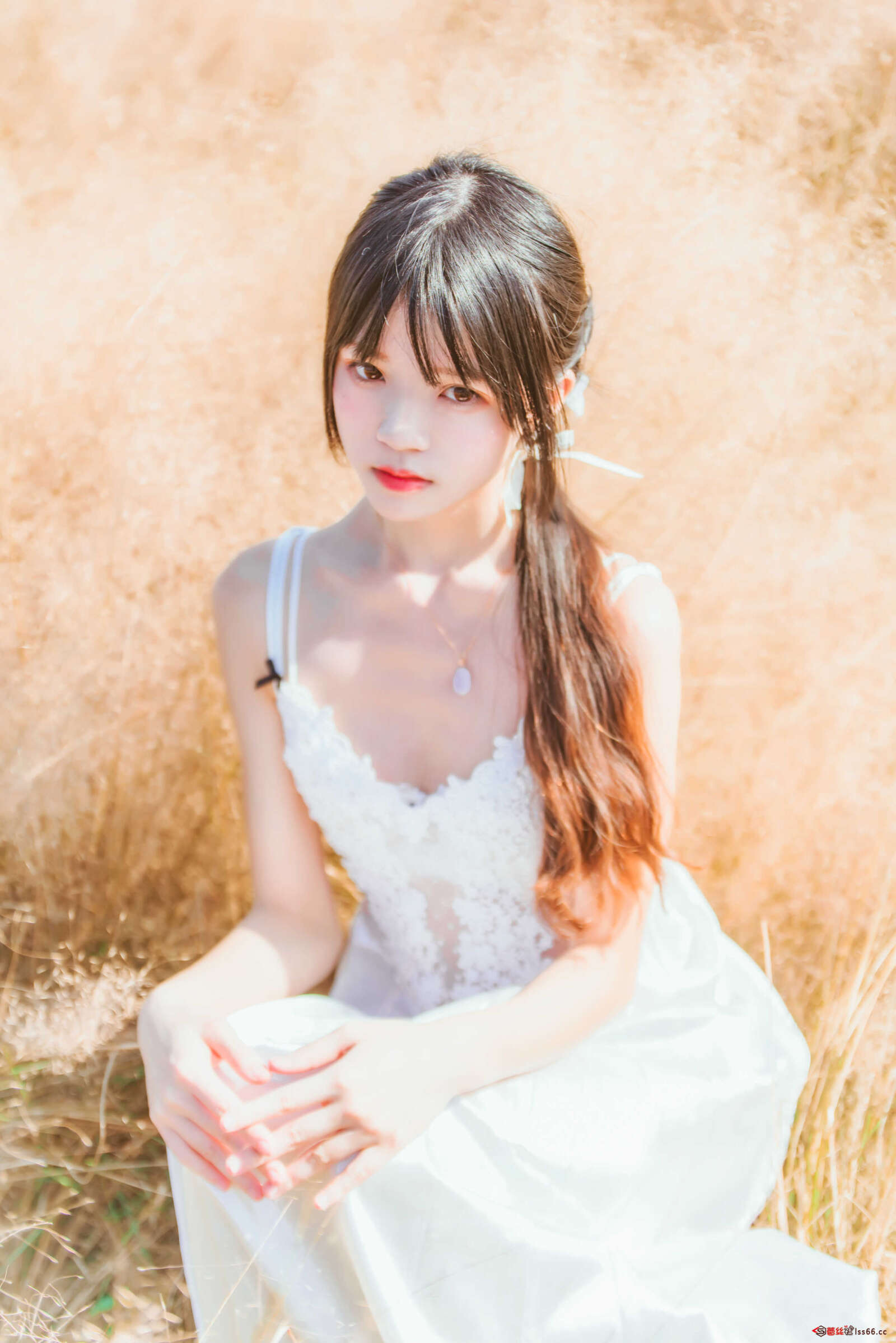 https://www.lss77.com/wp-content/uploads/2020/12/DSC00941-1600x2398.jpg