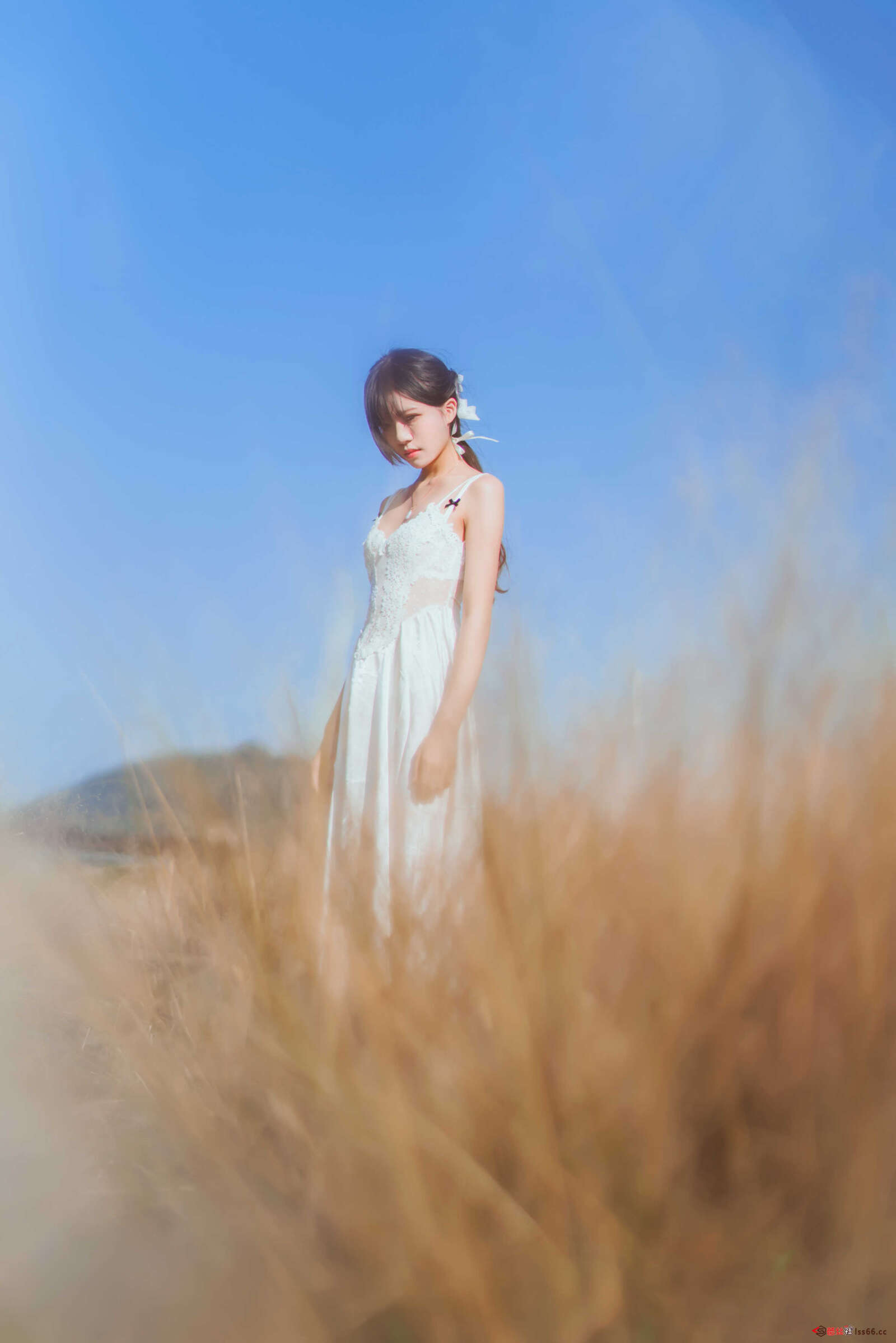 https://www.lss77.com/wp-content/uploads/2020/12/DSC00977-1600x2398.jpg