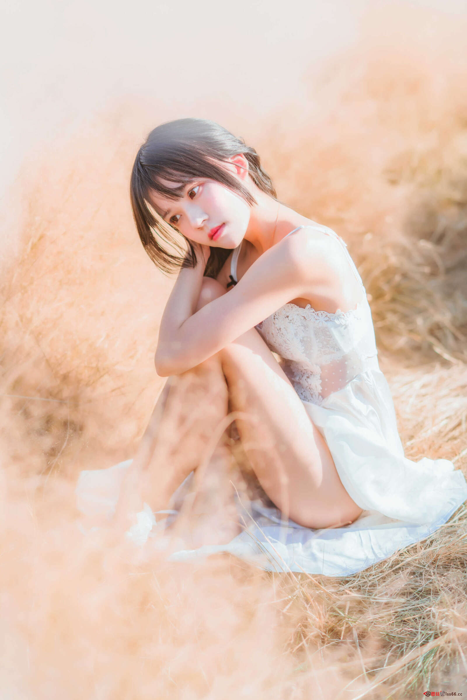 https://www.lss77.com/wp-content/uploads/2020/12/DSC01021-1600x2398.jpg