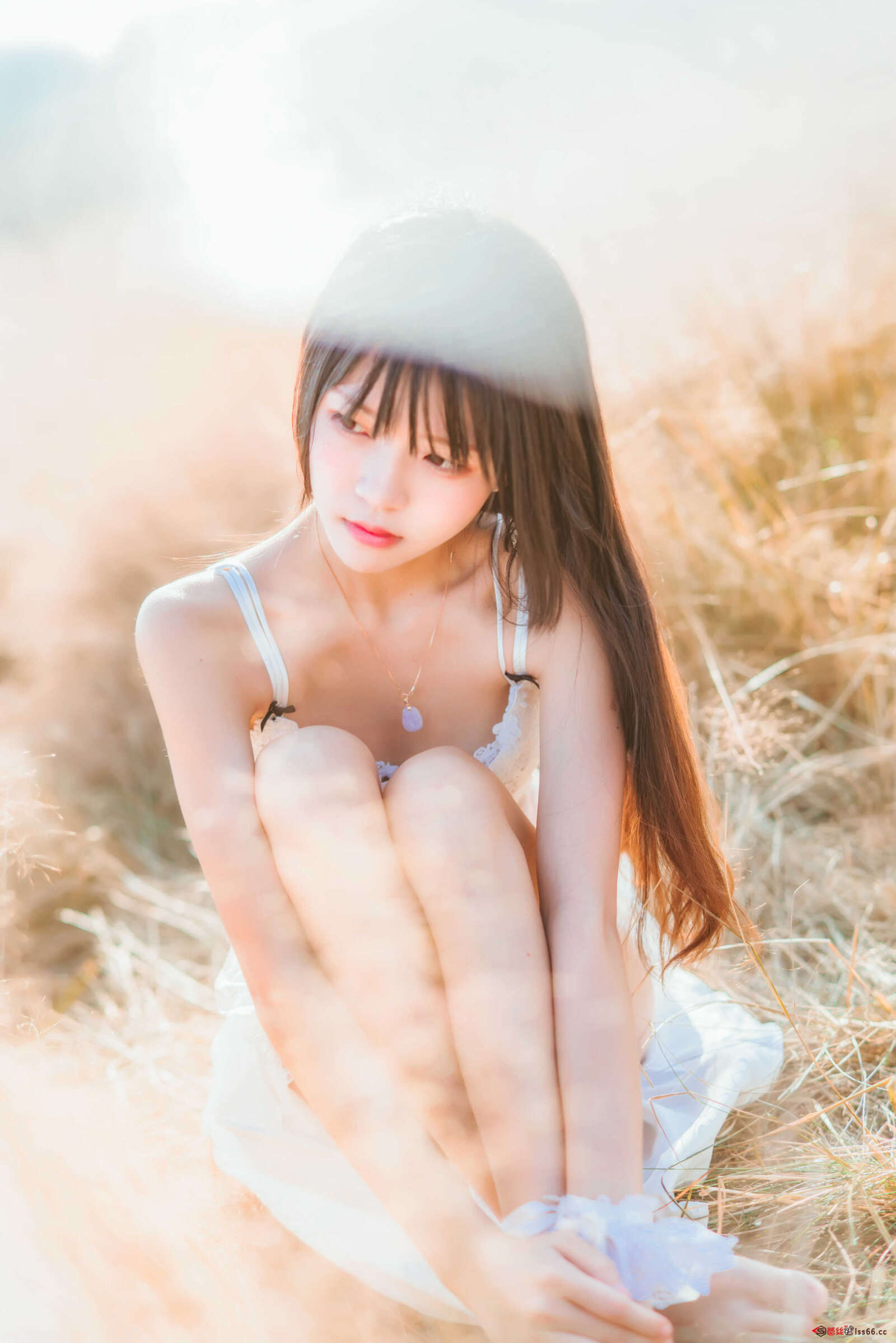 https://www.lss77.com/wp-content/uploads/2020/12/DSC01029-1600x2398.jpg
