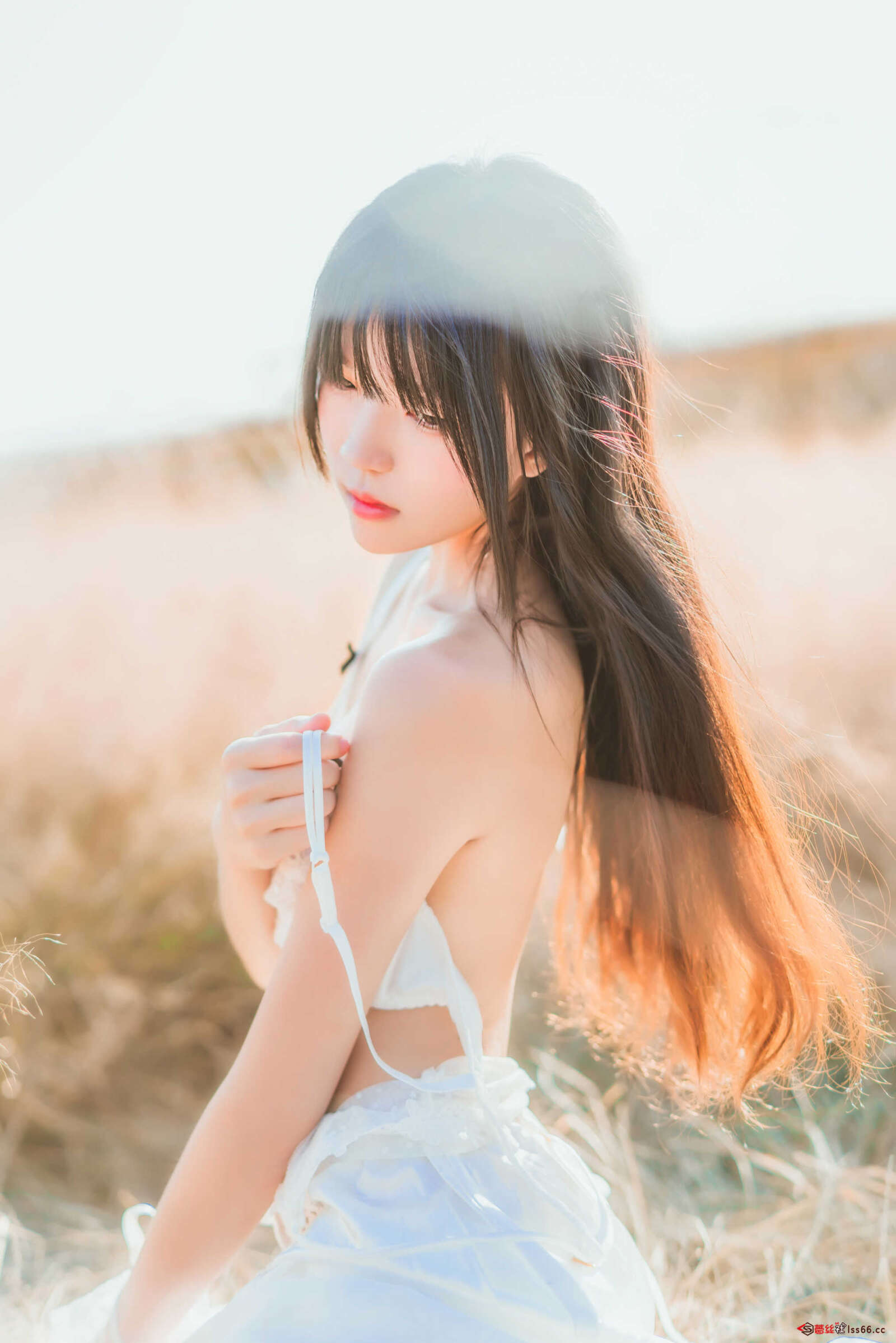 https://www.lss77.com/wp-content/uploads/2020/12/DSC01038-1600x2398.jpg