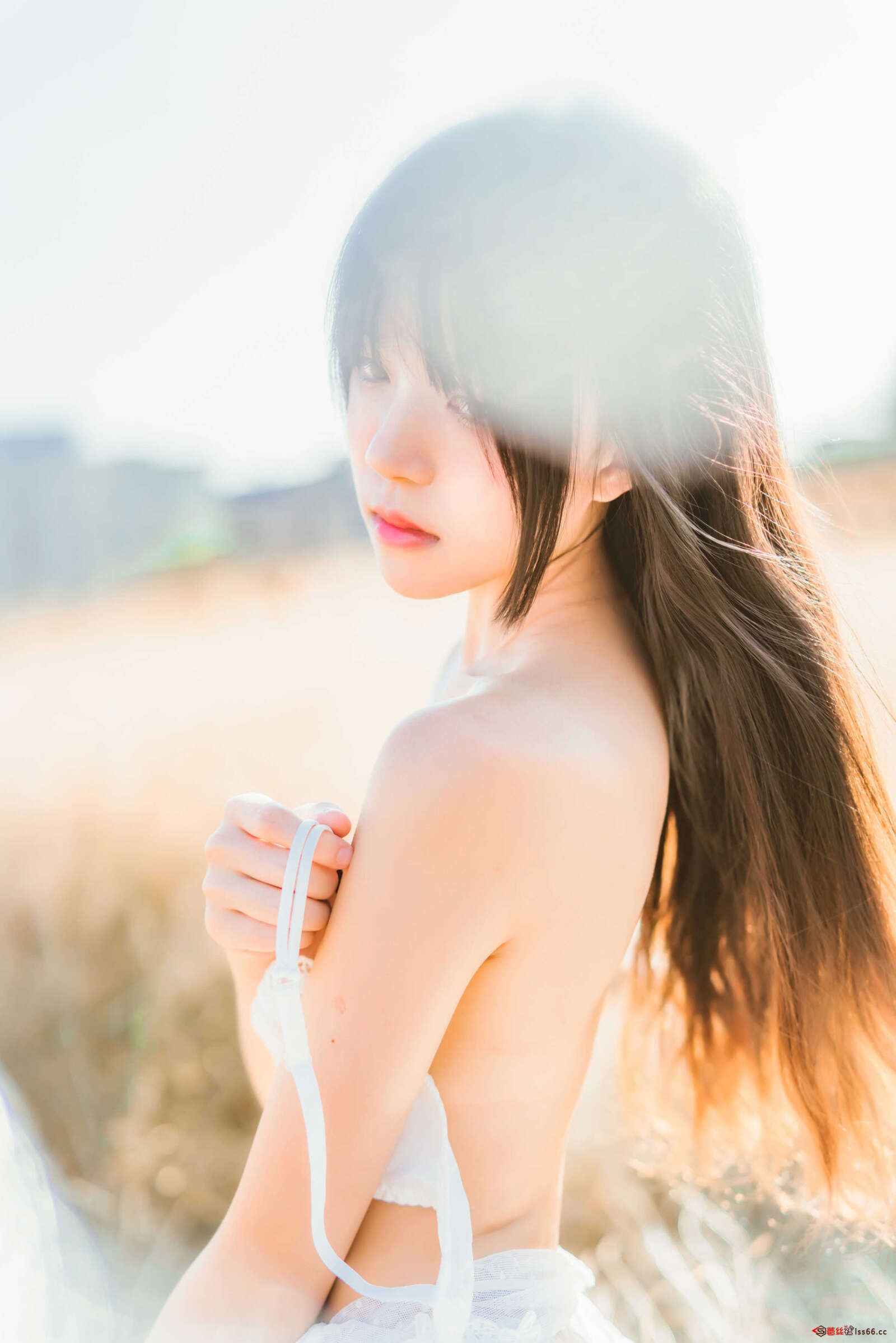 https://www.lss77.com/wp-content/uploads/2020/12/DSC01039-1600x2398.jpg