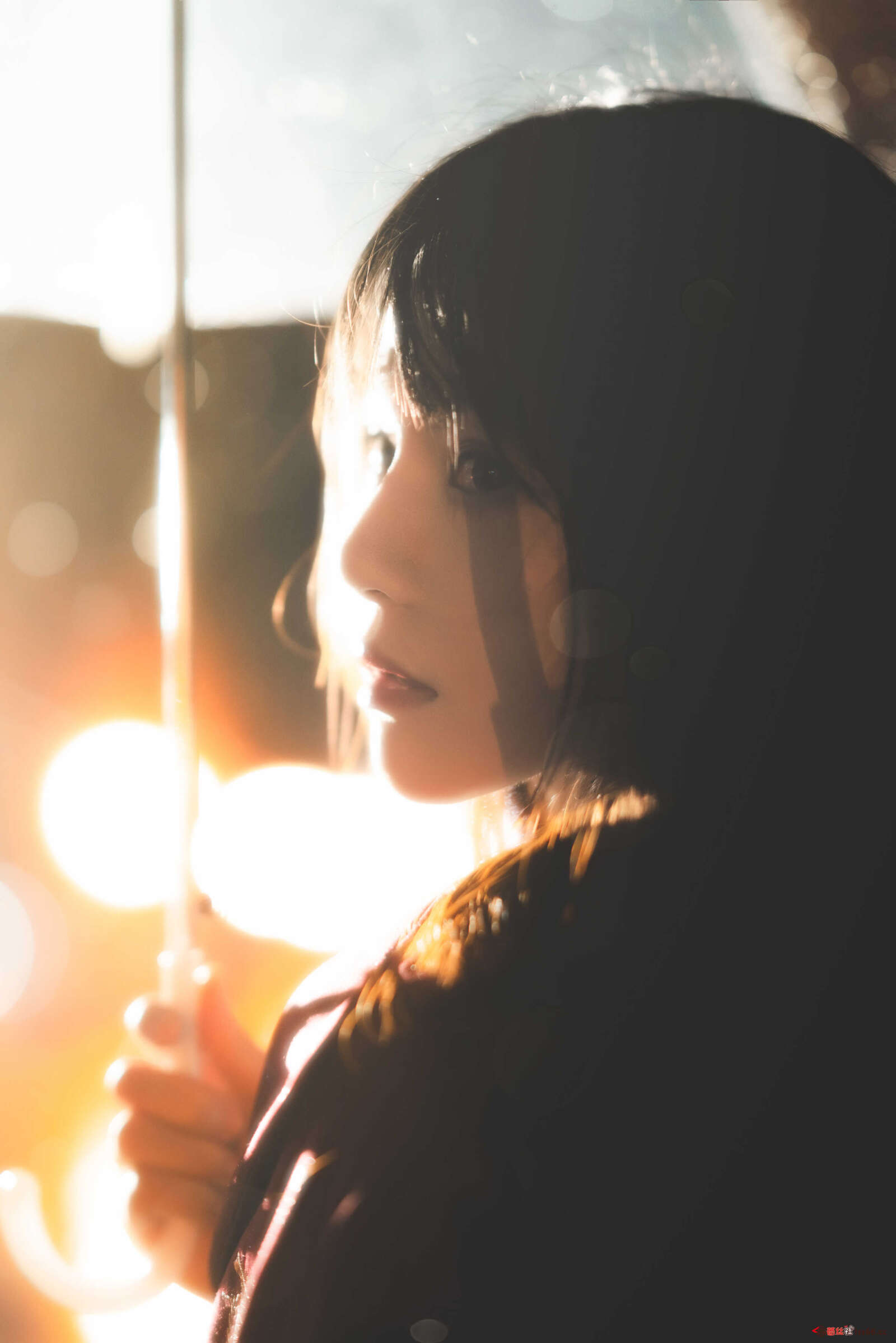 https://www.lss77.com/wp-content/uploads/2020/12/DSC08579-1600x2398.jpg